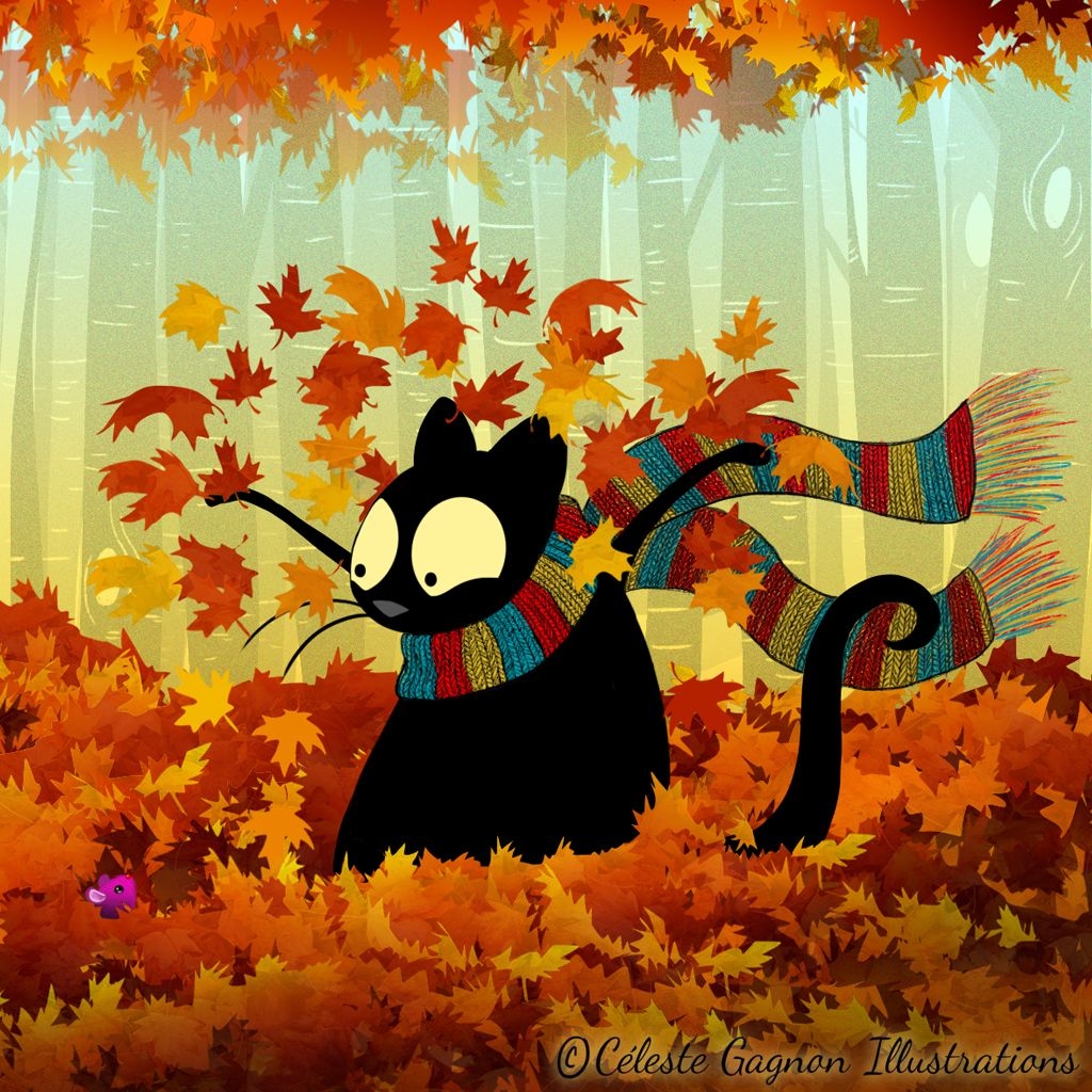 1030x1030 Echo the Cat Fall wallpaper, Phone