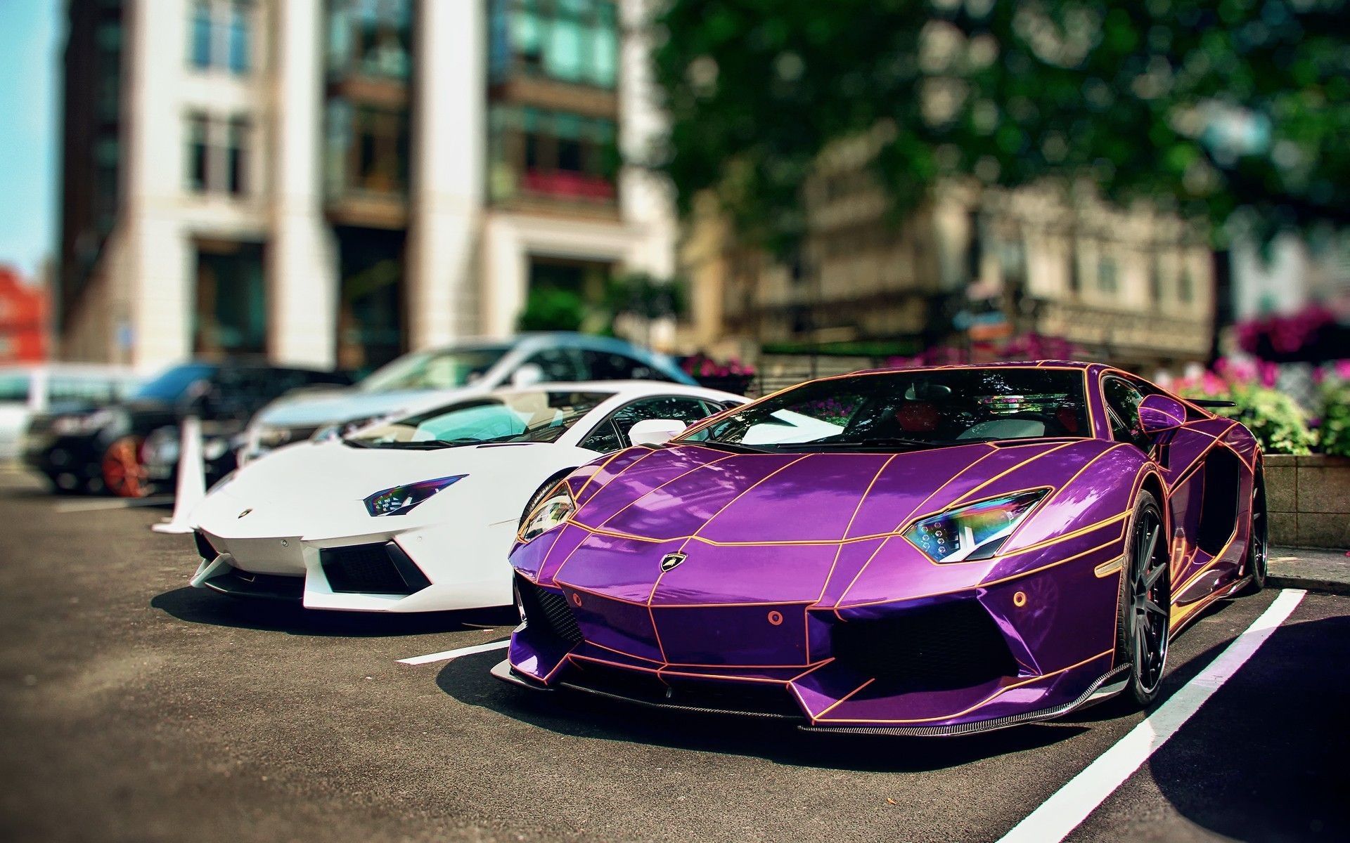 1920x1200 purple, Tron, chrome, performance, Lamborghini Aventador, rims, purple cars, Kit wallpaper, Desktop