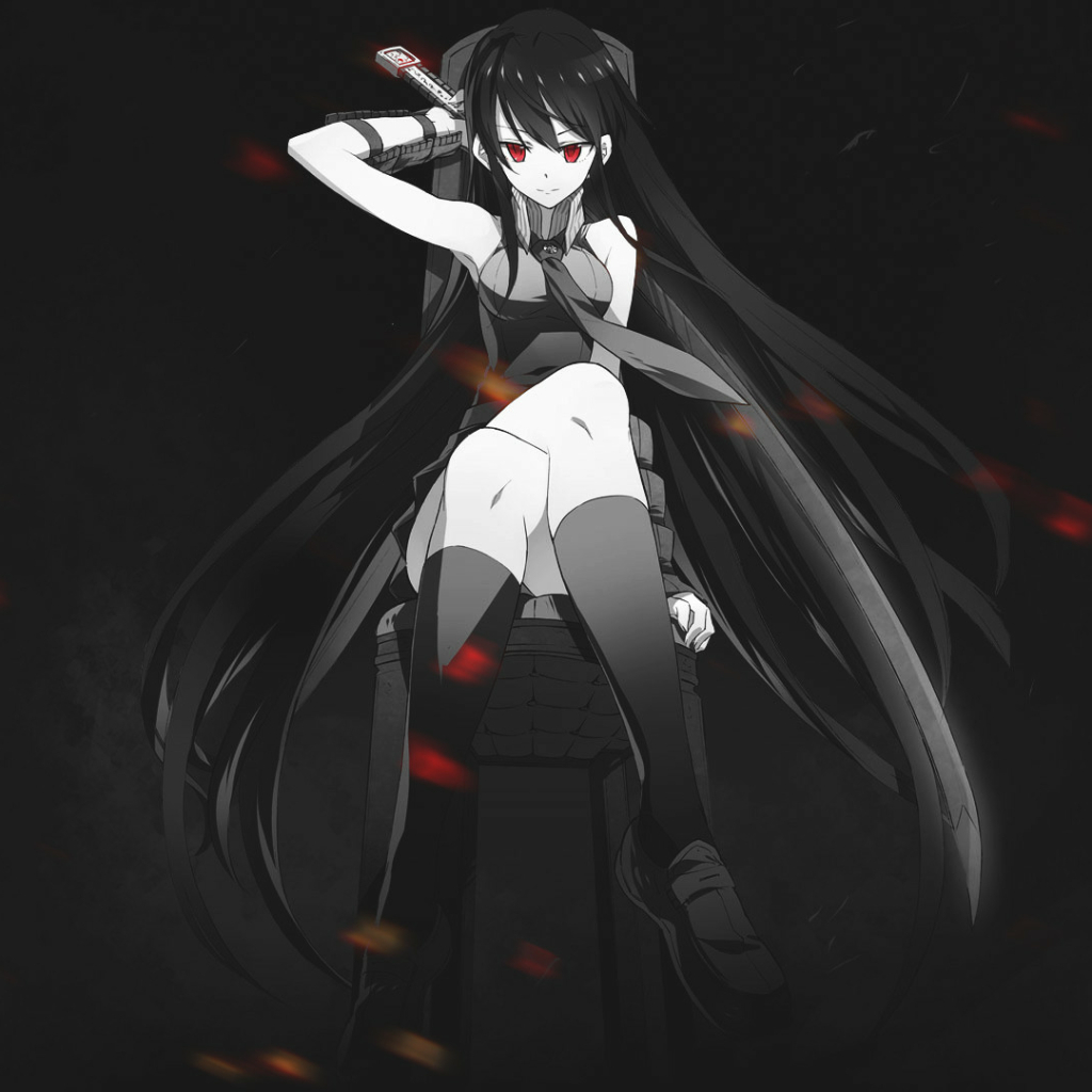 1030x1030 Anime Akame ga Kill! Pfp, Phone