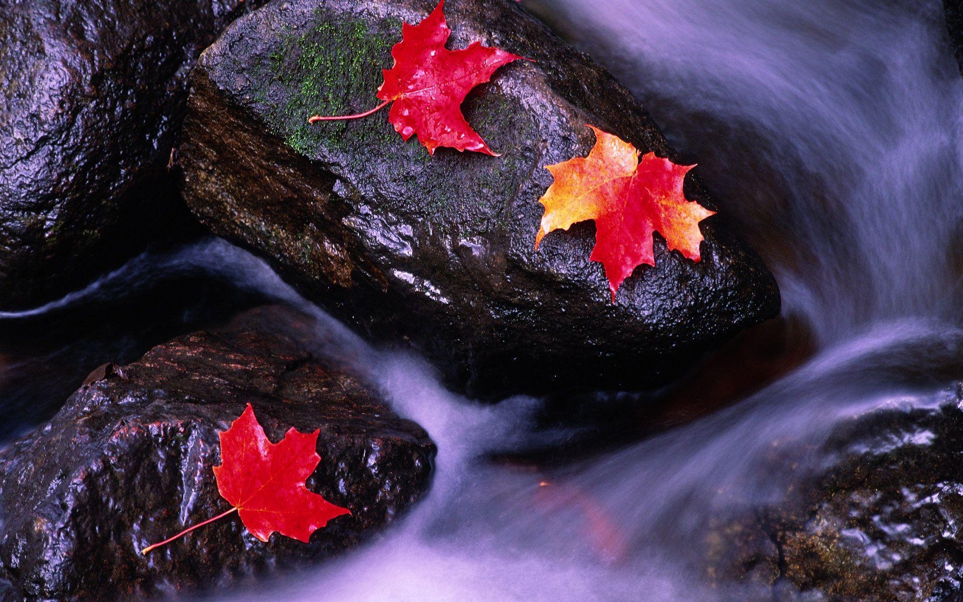 1920x1200 Rivers of Canada wallpaper and image, picture, photo, Desktop