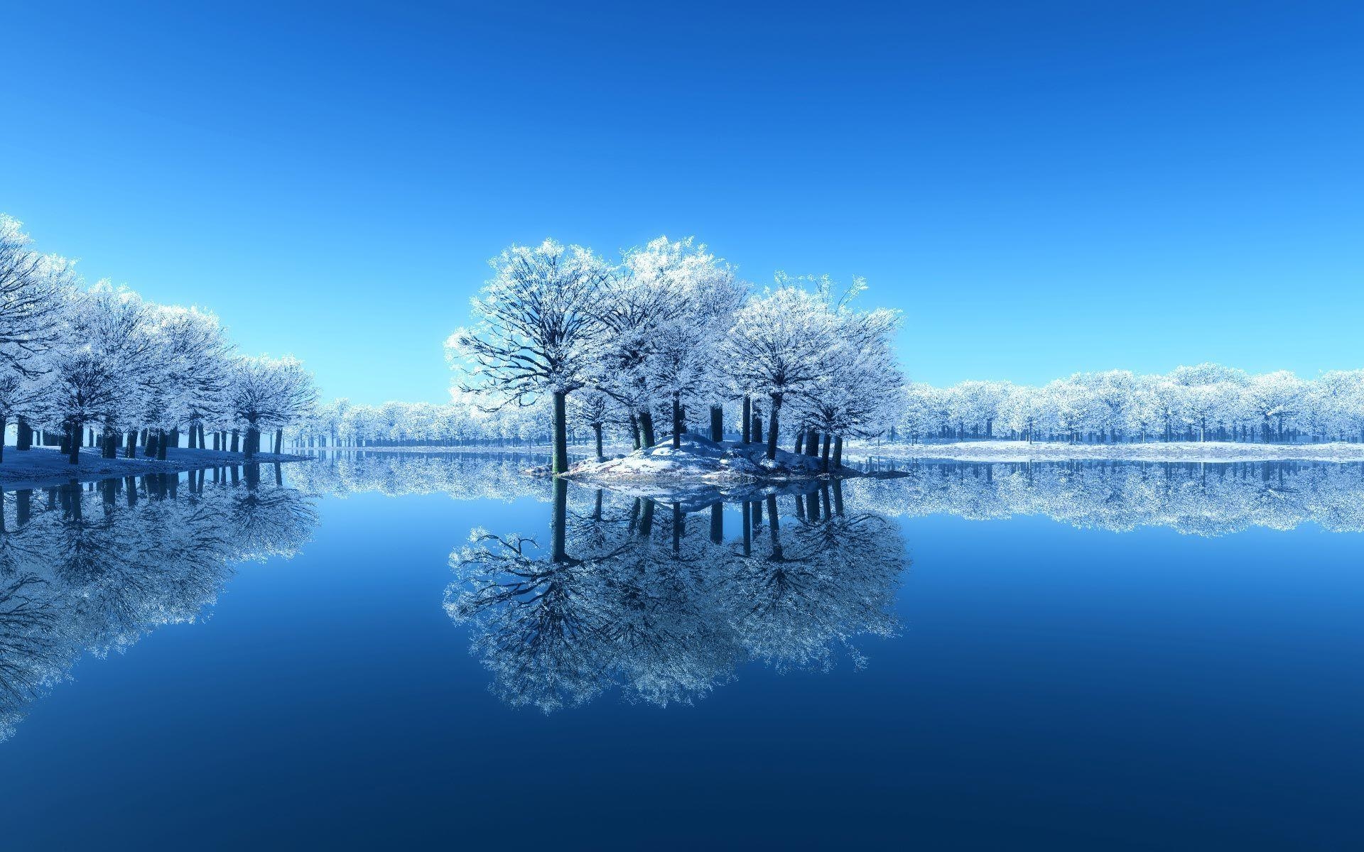 1920x1200 Frozen Trees Winter Nature, Desktop