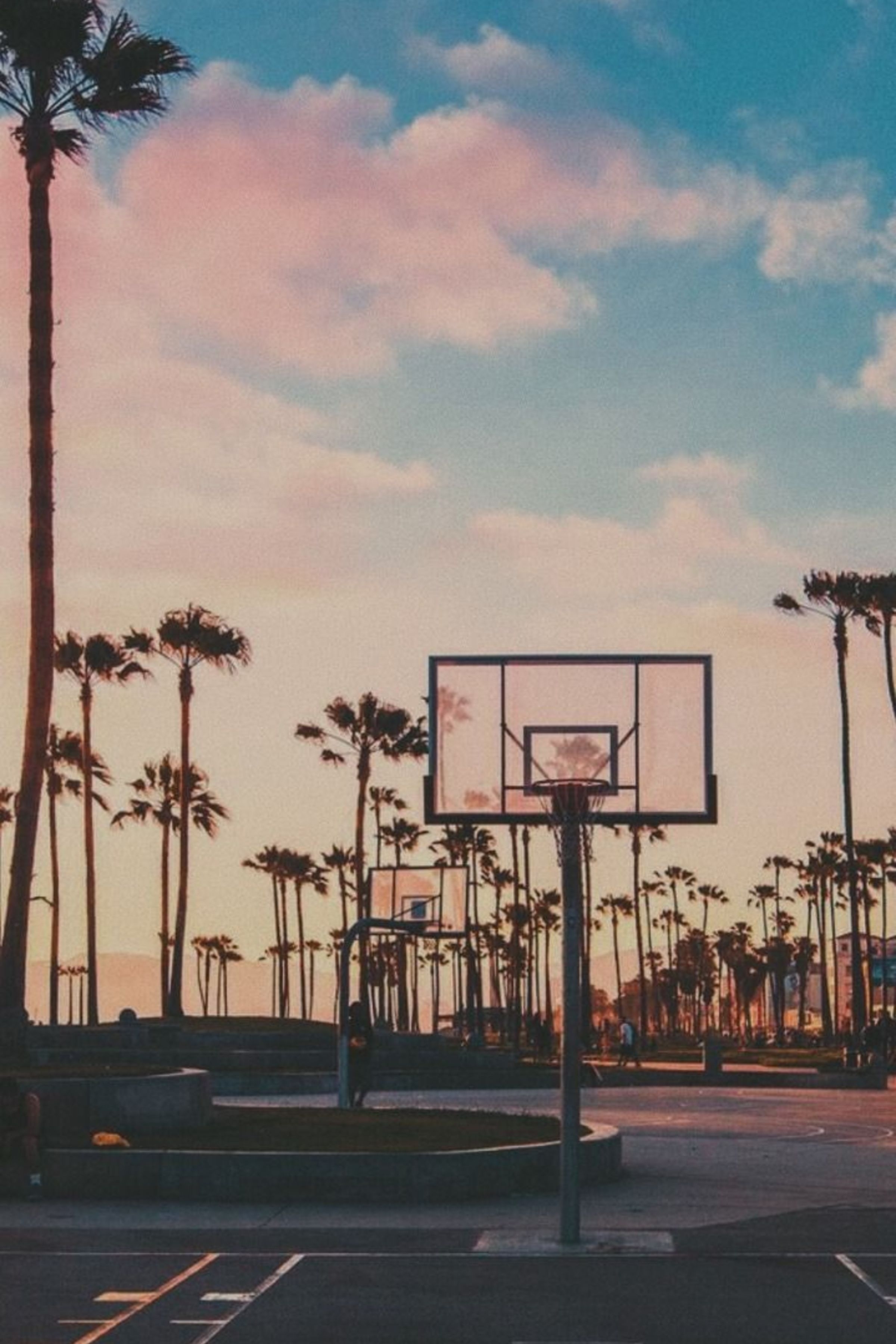 2400x3600 ENJOY THE PALM LIFE.COM. Sky aesthetic, Basketball wallpaper, Los angeles wallpaper, Phone