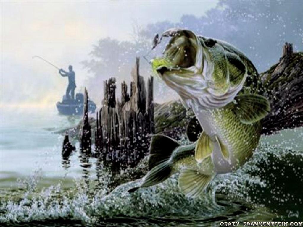 1030x770 Fishing wallpaper wallpaper free download 1024×768 Fishing Wallpaper (46 Wallpaper). Adorable Wallpaper. Fish wallpaper, Fish painting, Cool fish, Desktop