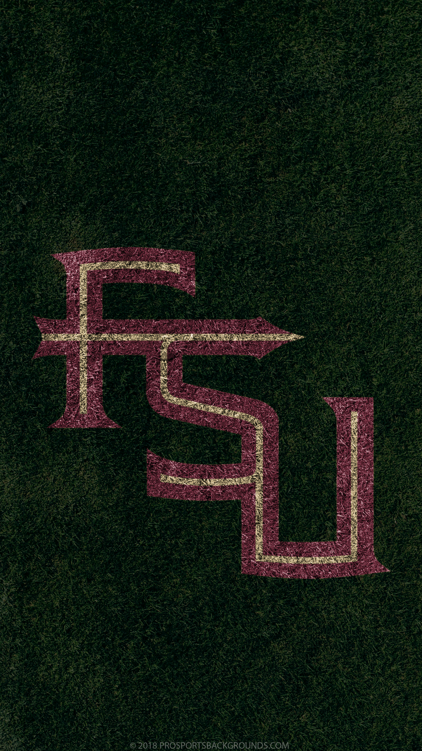 1440x2560 Seminoles iPhone Wallpaper Free Seminoles iPhone Background, Phone