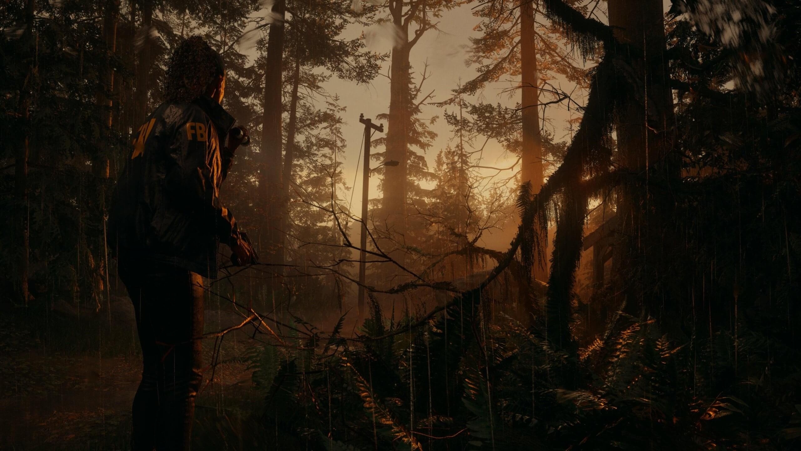 2560x1440 Never before seen gameplay footage of Alan Wake 2 leaks online, Desktop