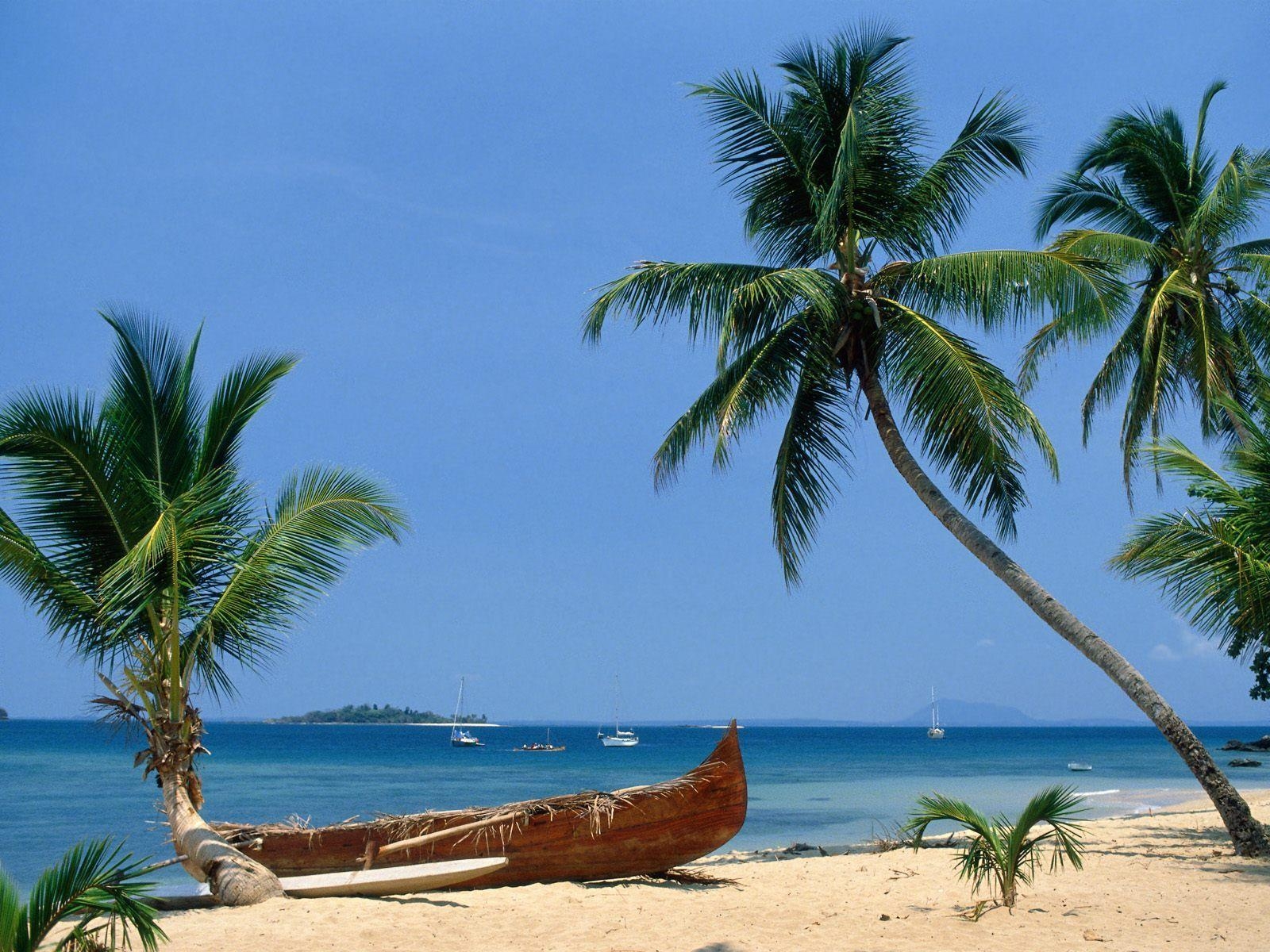 1600x1200 Palm trees and a boat. Beaches Wallpaper.com, Desktop