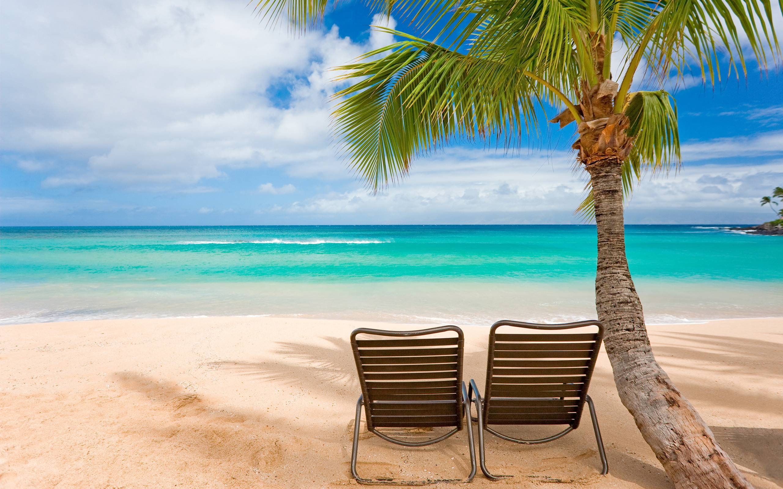2560x1600 Tropical Wallpaper Desktop, Desktop