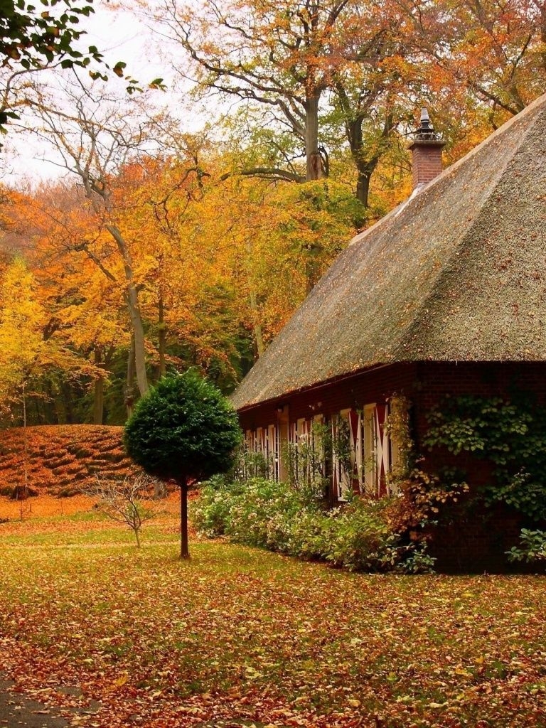 770x1030 Country House in Autumn iPad wallpaper, Phone