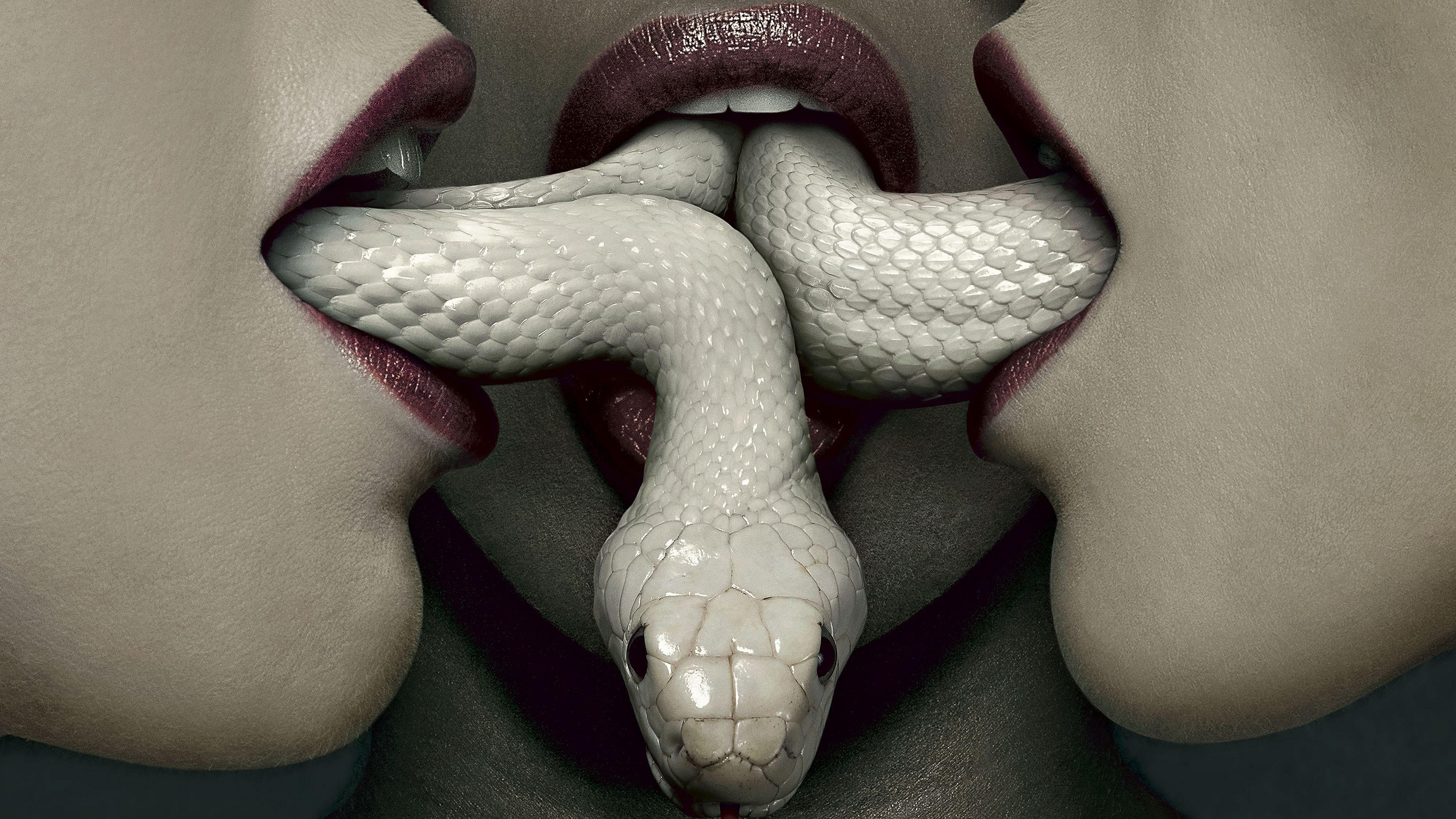 4100x2310 American Horror Story: Coven HD Wallpaper. Background, Desktop