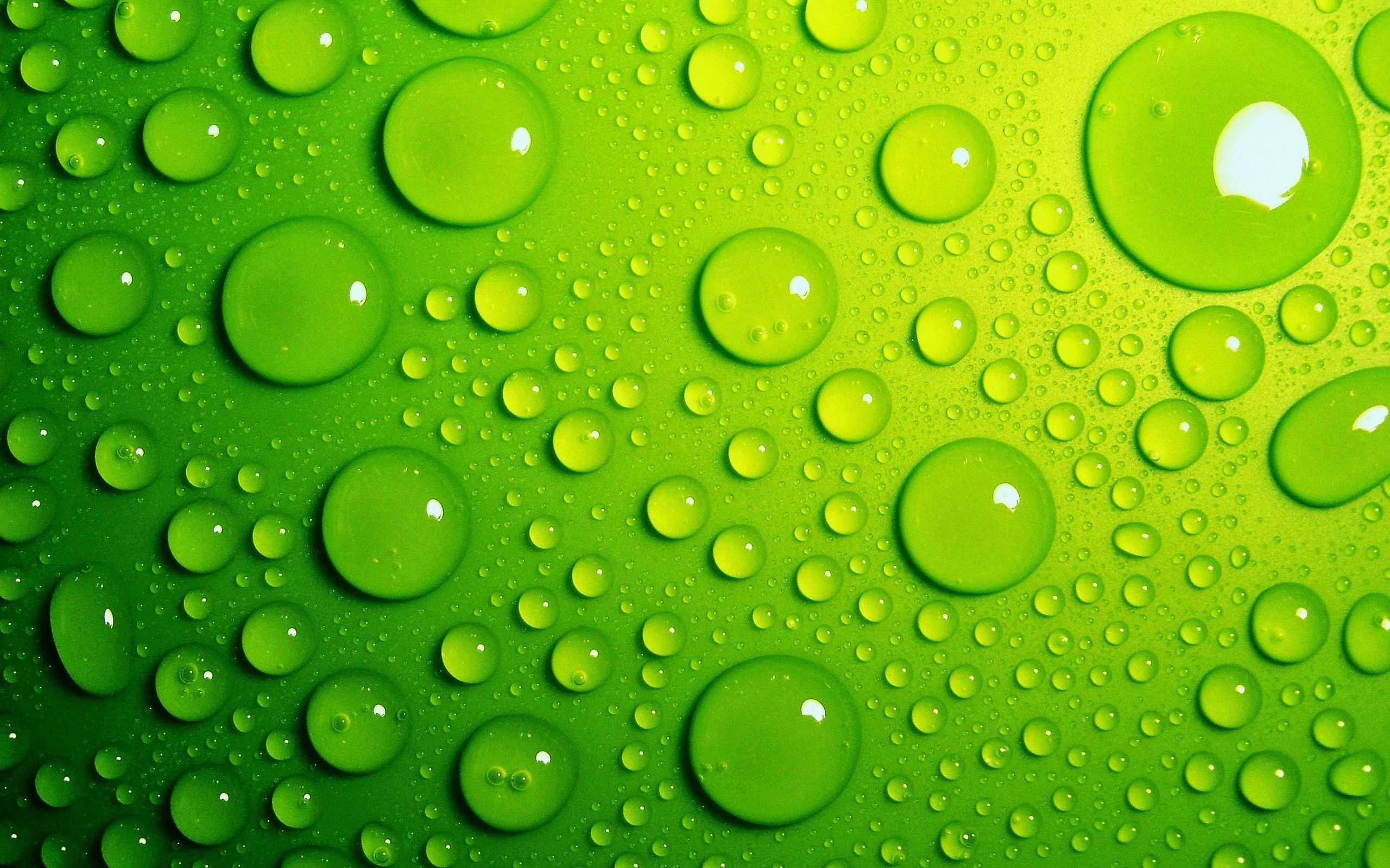 2560x1600 Download wallpaper green, background, drops, water free desktop, Desktop