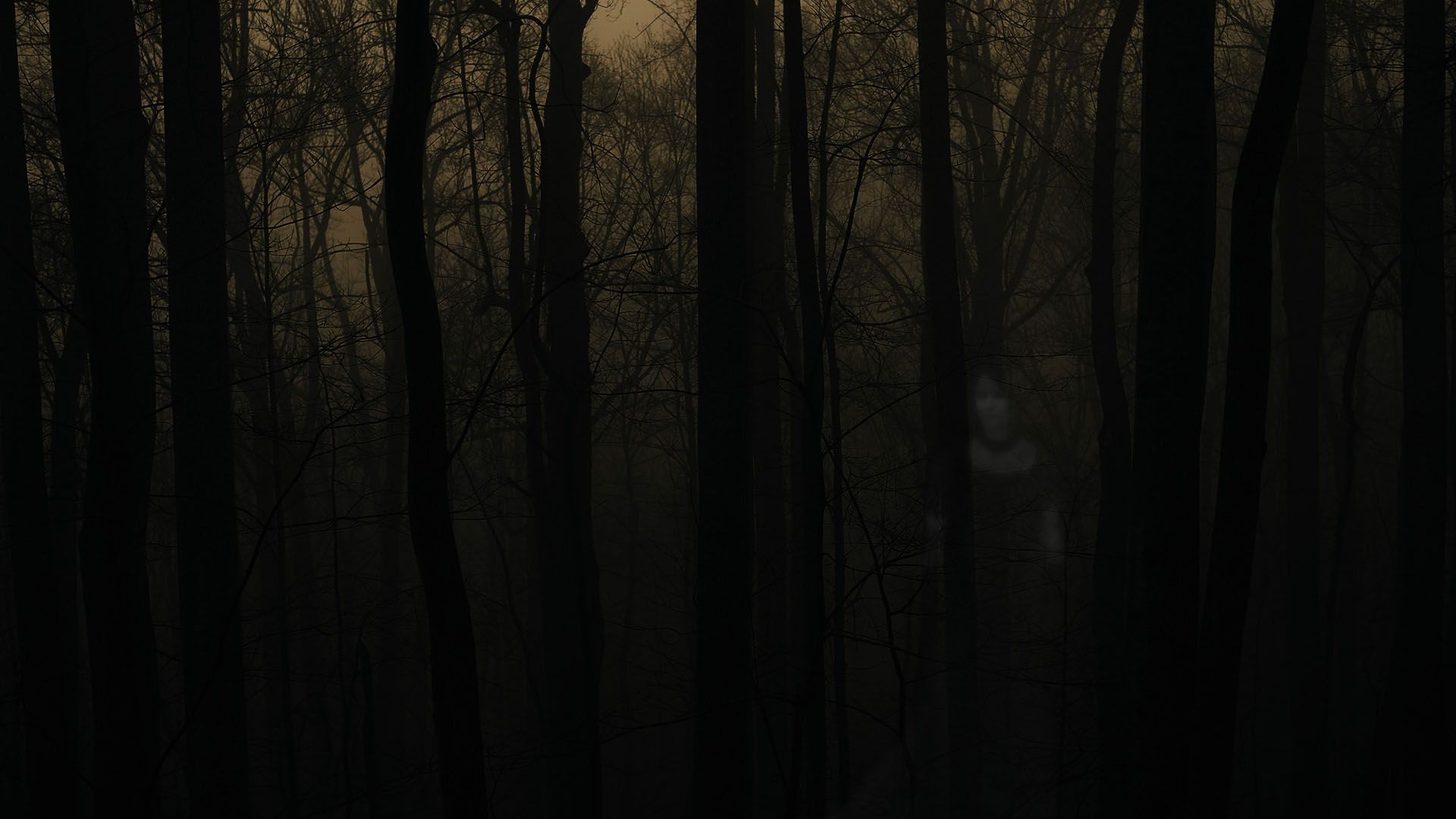 1920x1080 Free download Haunted Forest wallpaper Haunted Forest stock, Desktop