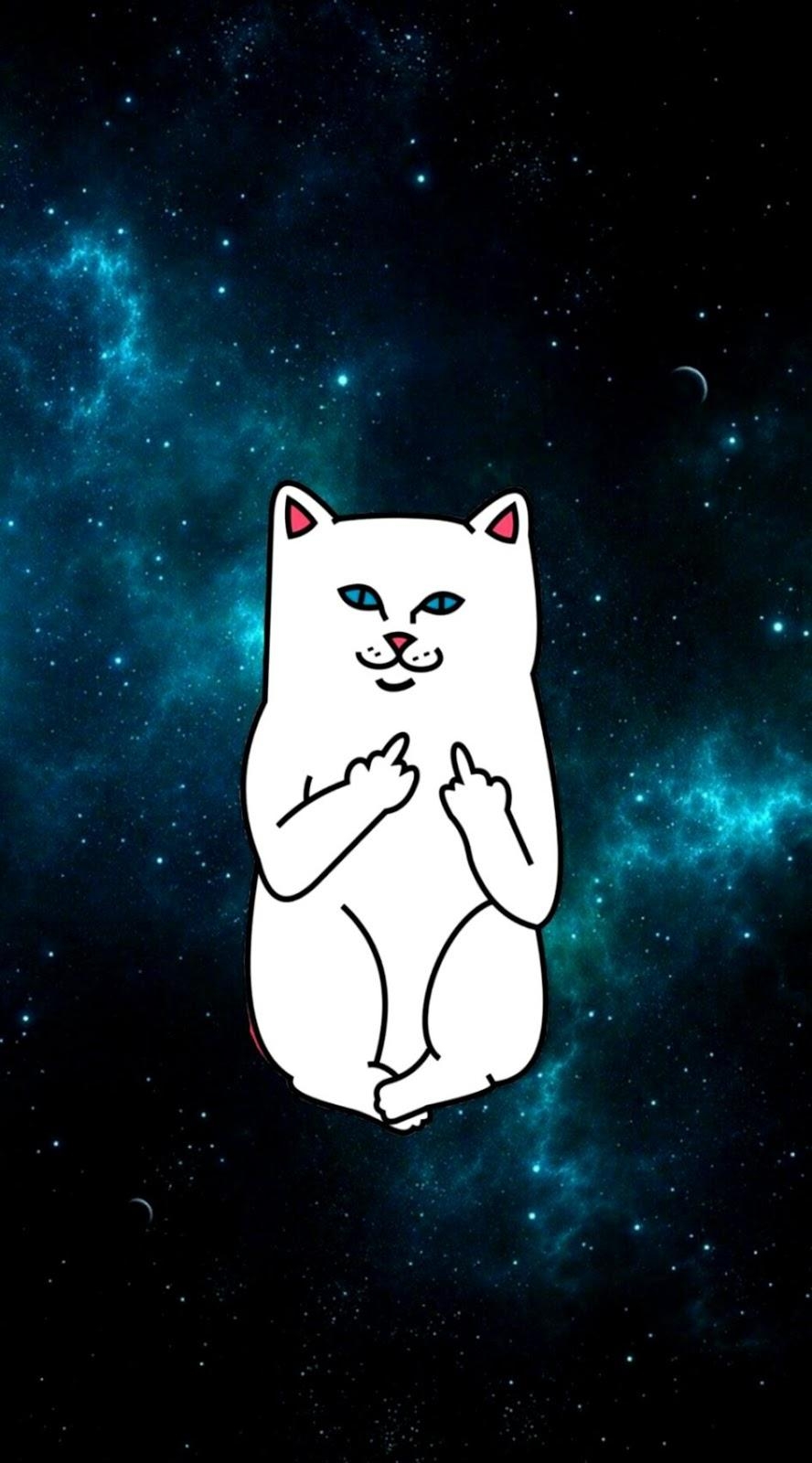 890x1600 Ripndip iPhone Wallpaper Ripndip Middle Finger Cat, Phone