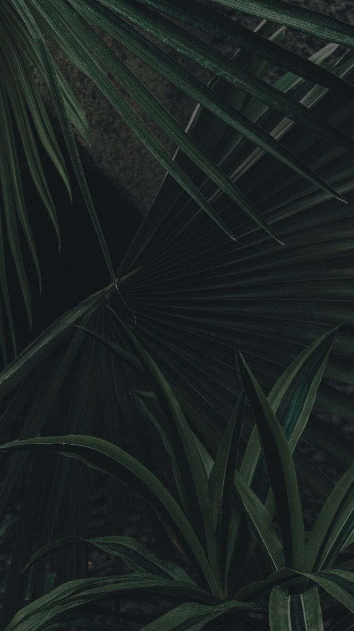 720x1280 LOCK SCREENs. Leaves wallpaper iphone, New nature, Phone
