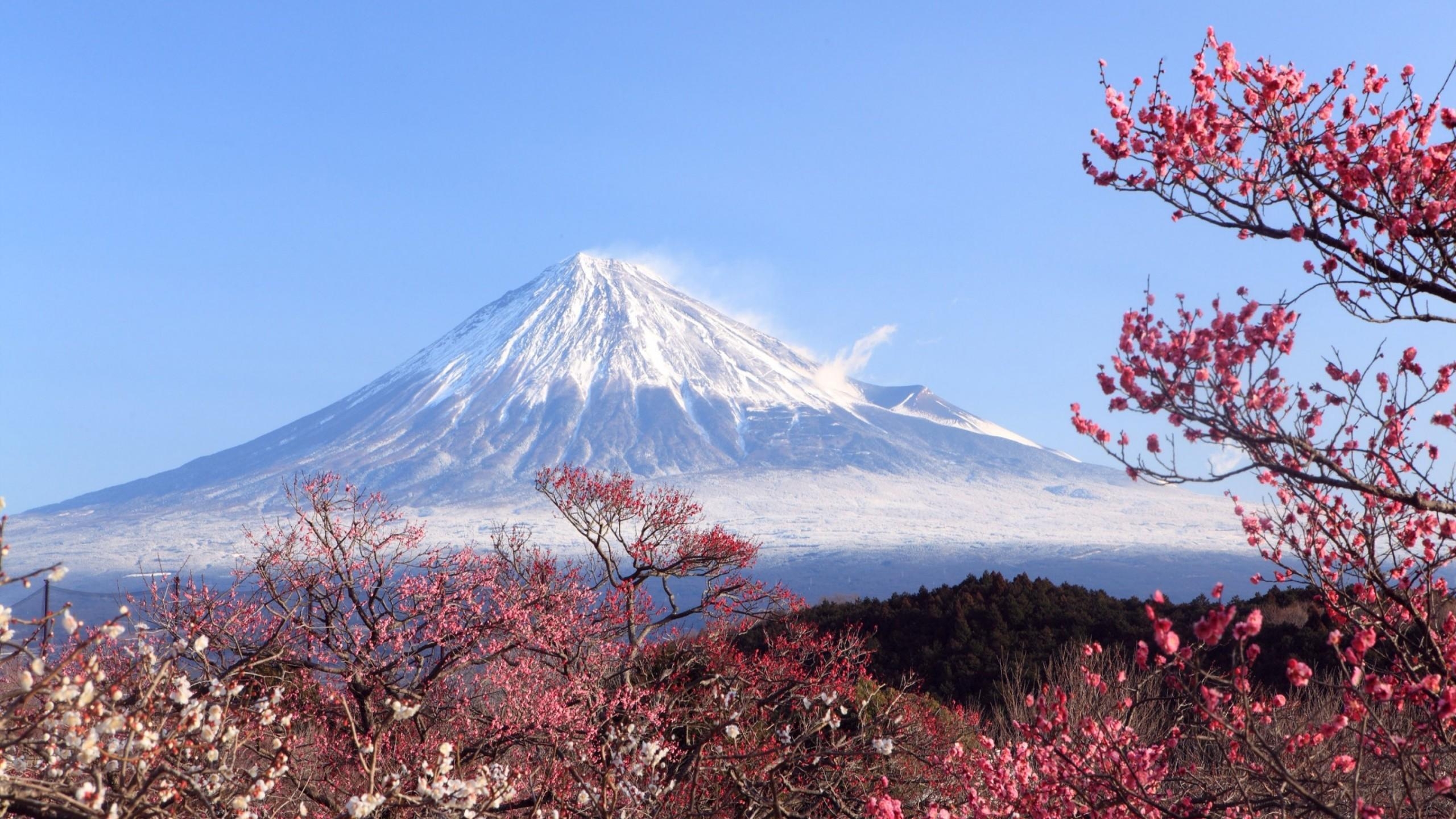 2560x1440 Wallpaper Blink Fuji Wallpaper HD 17 X 1440, Desktop