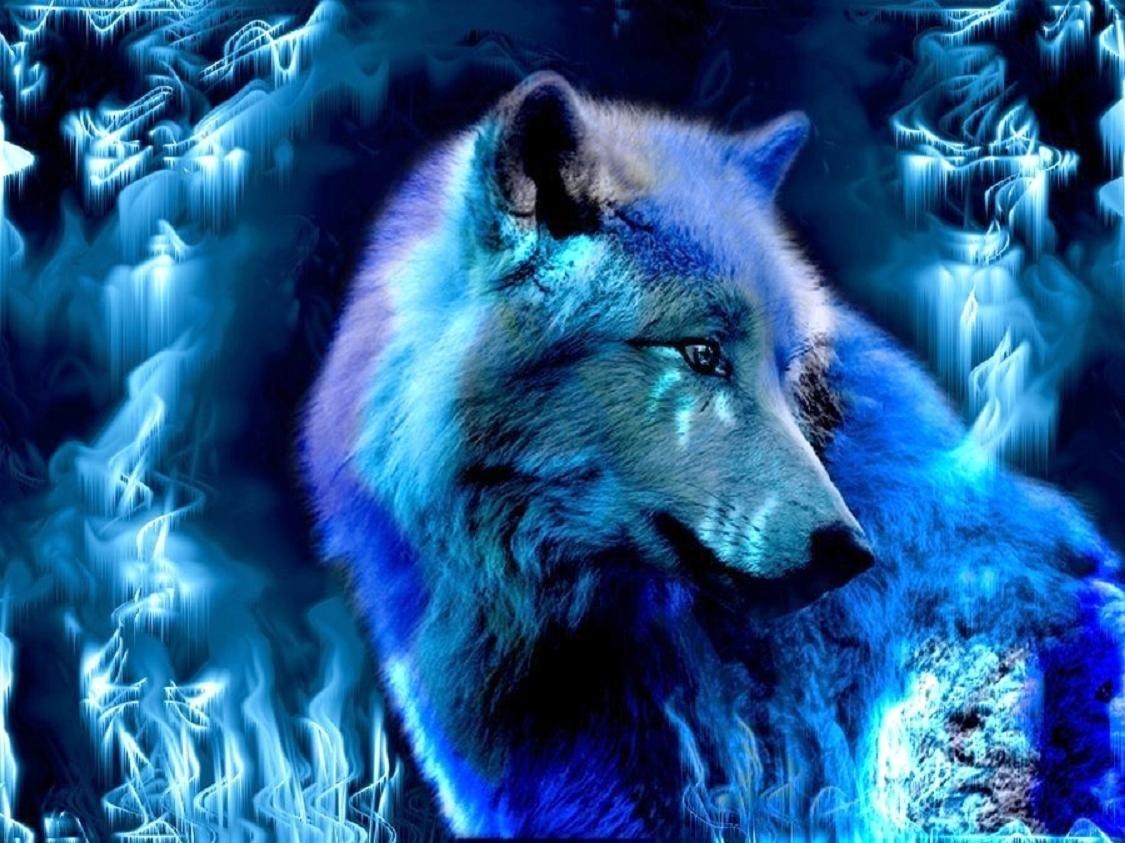 1130x850 Blue Wolf Wallpaper Free Blue Wolf Background, Desktop