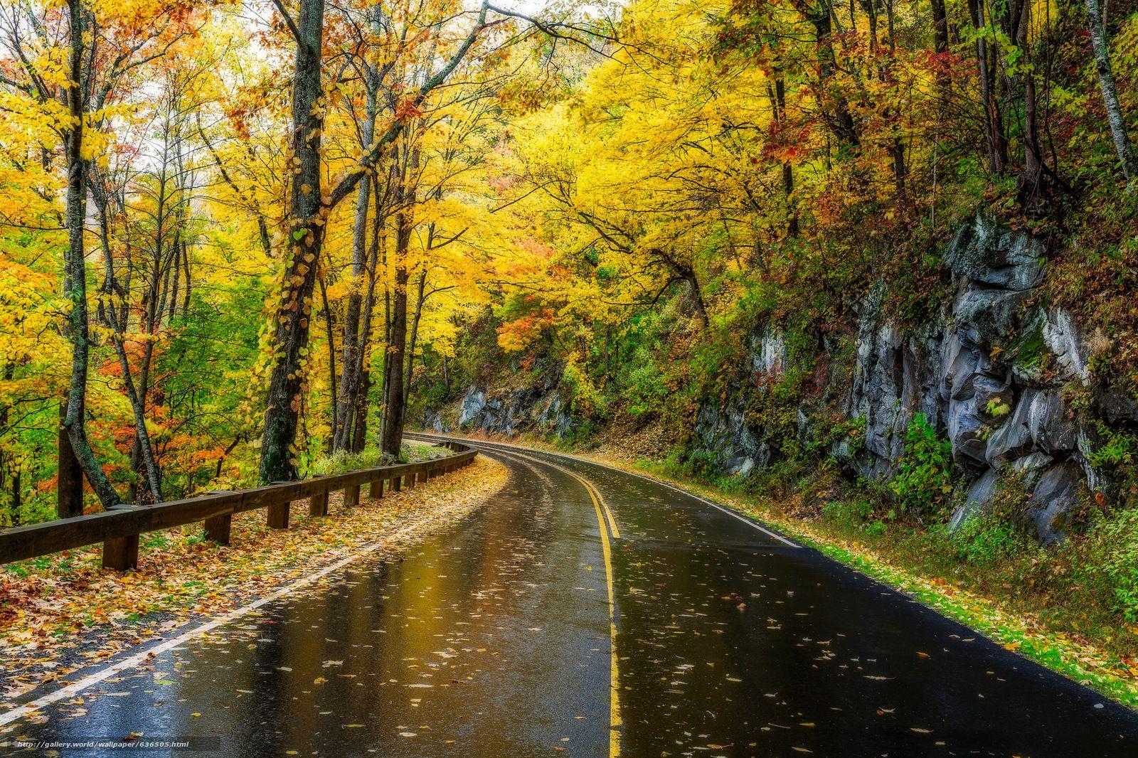 1600x1070 Download wallpaper Great Smoky Mountains National Park, Tennessee, Desktop