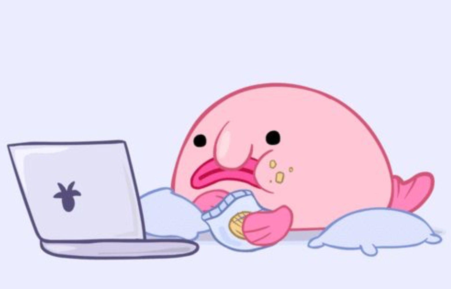 1560x1000 Best Blobfish image. Blobfish, Fish, Cute animals, Desktop