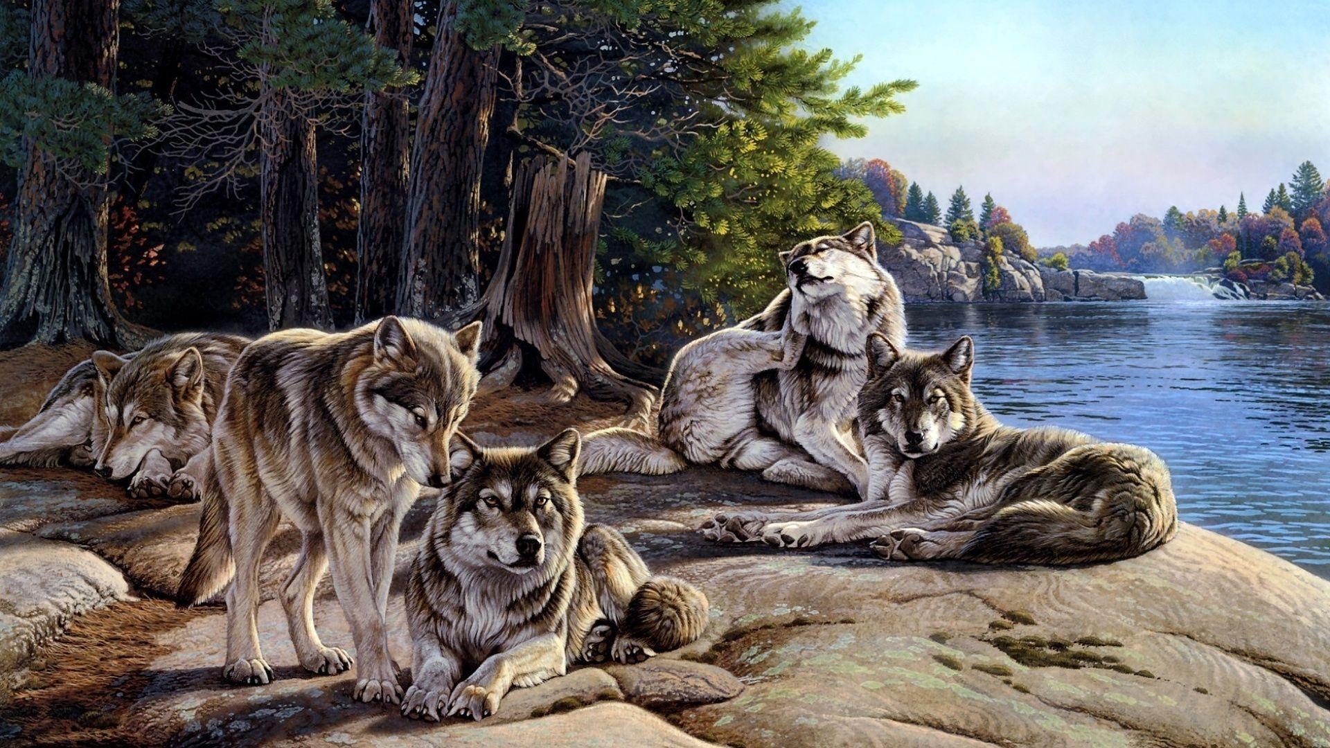 1920x1080 Desktop HD Wolf Pack Image Free, Desktop