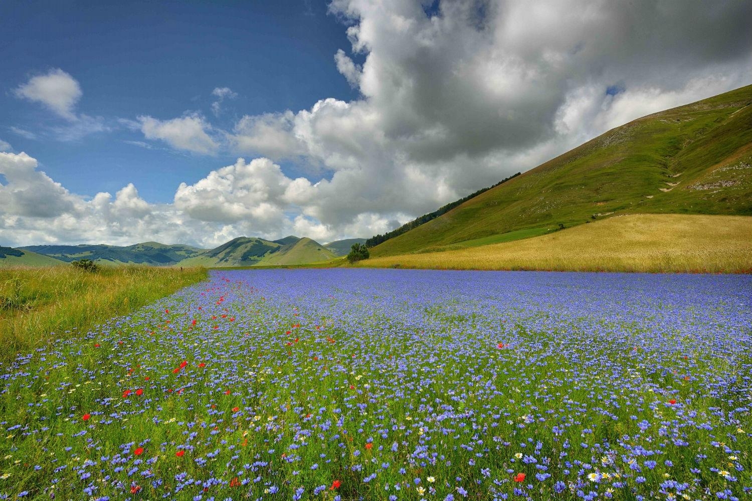 1500x1000 tuscan countryside, Desktop