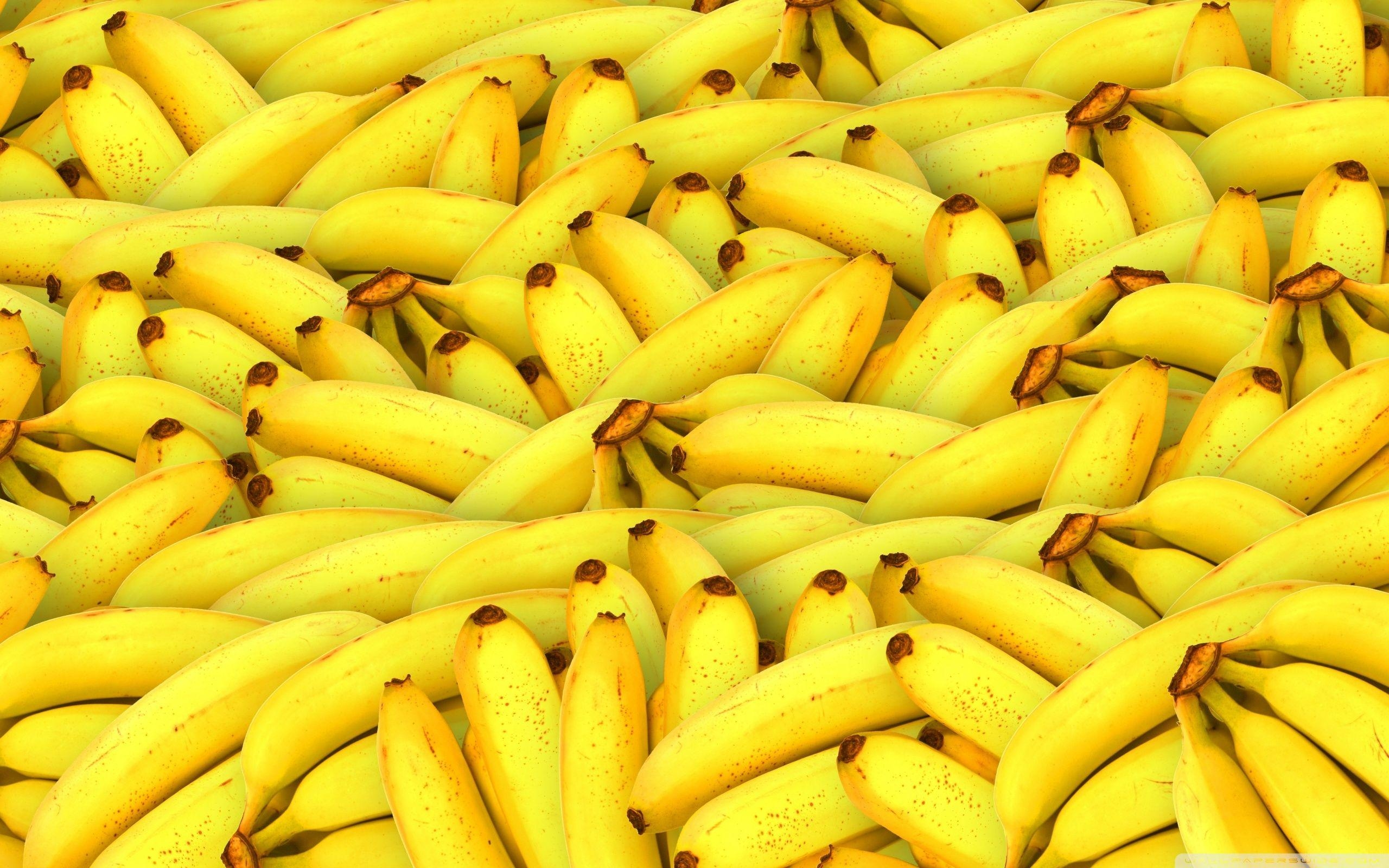 2560x1600 Bananas HD desktop wallpaper, Widescreen, High Definition, Desktop