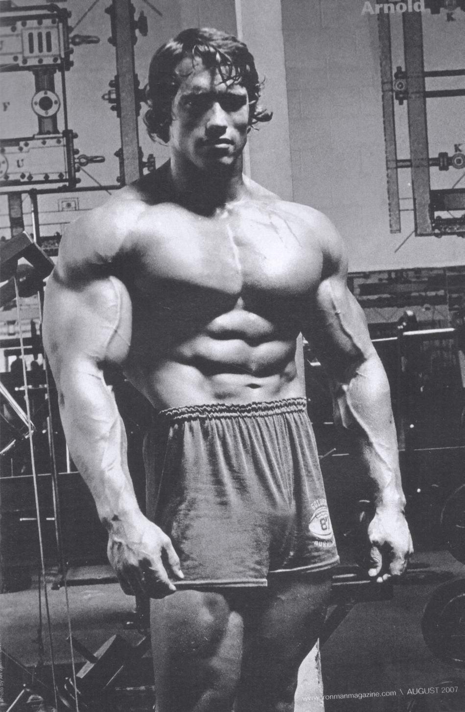 950x1460 Arnold Schwarzenegger Best Gallery Of This Bodybuilding Icon!, Phone