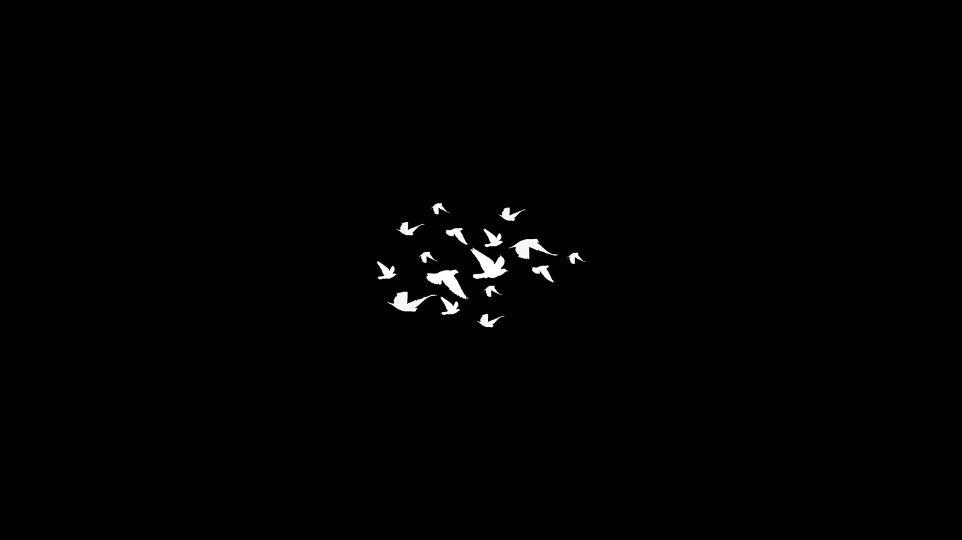 1370x770 Birds Flying Minimalist Dark 4k  Resolution HD 4k Wallpaper, Image, Background, Photo and Picture, Desktop