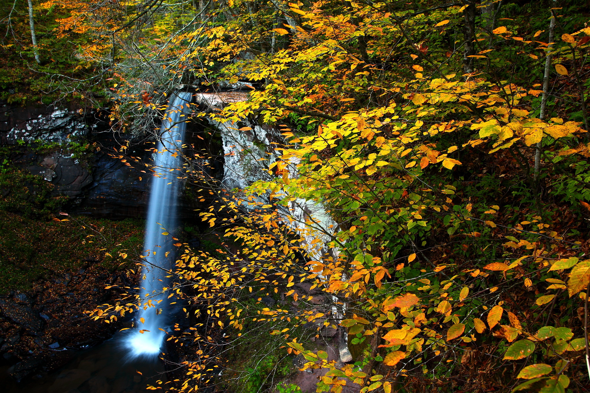 1920x1280 px West Virginia Wallpaper, Desktop