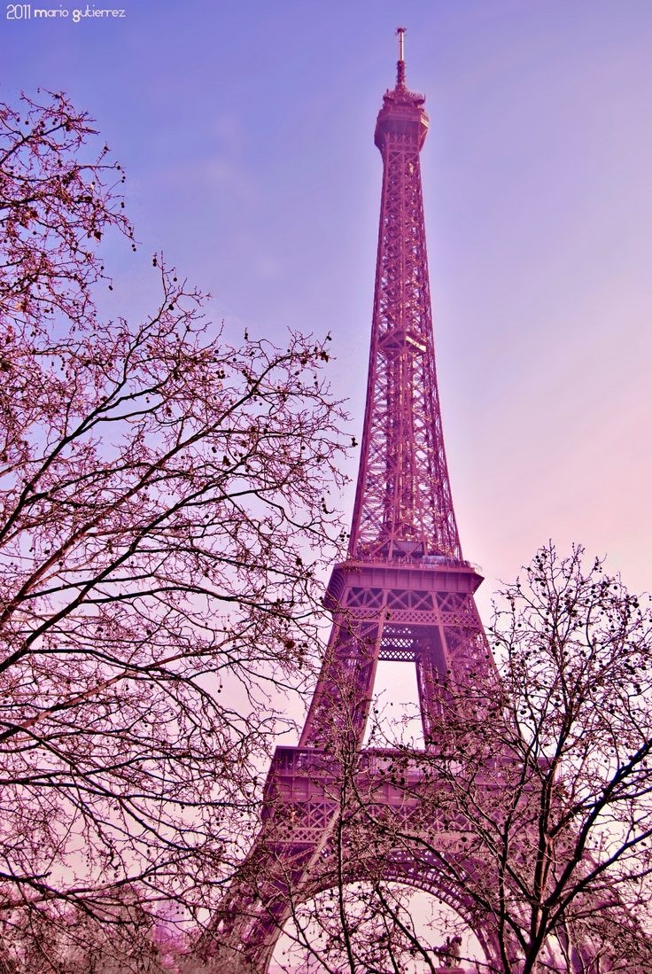 740x1100 Pink Paris Wallpaperwallpaperafari.com, Phone