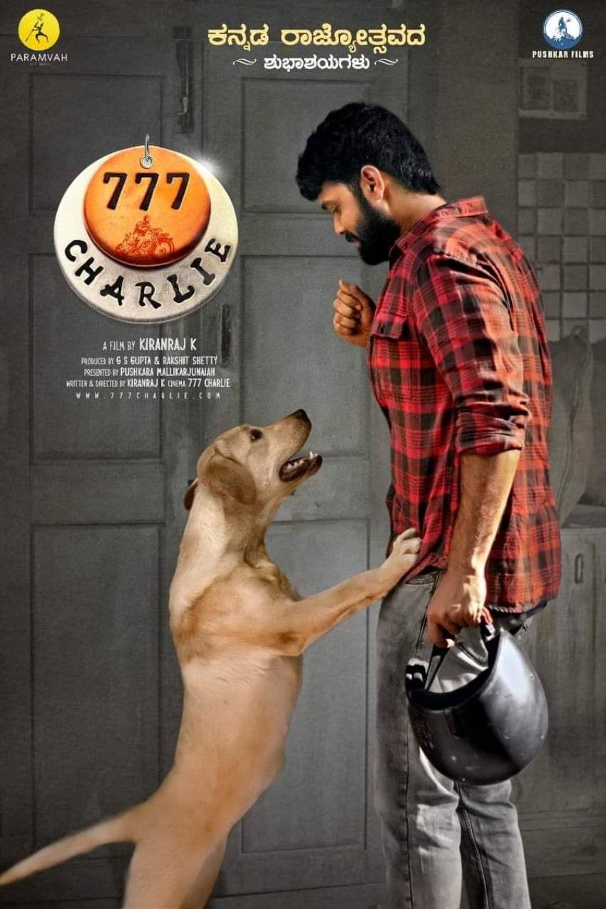 850x1280 Charlie Photo: HD Image, Picture, Stills, First Look Posters of 777 Charlie Movie, Phone