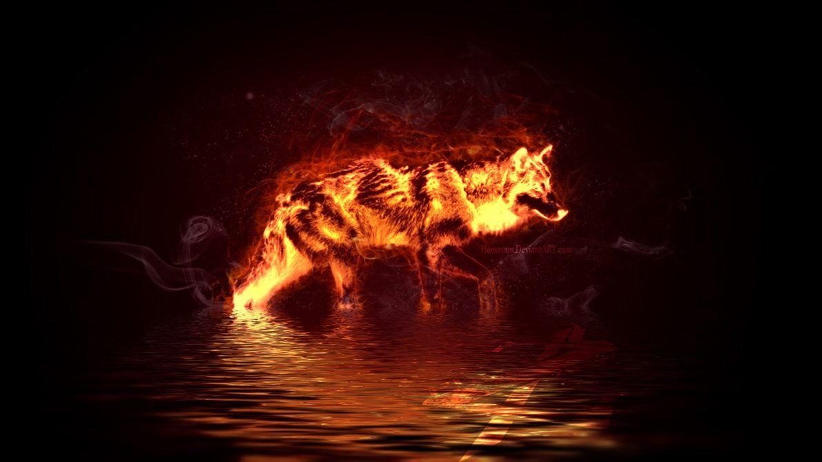 1200x670 Fire Wolf Wallpaper, Desktop