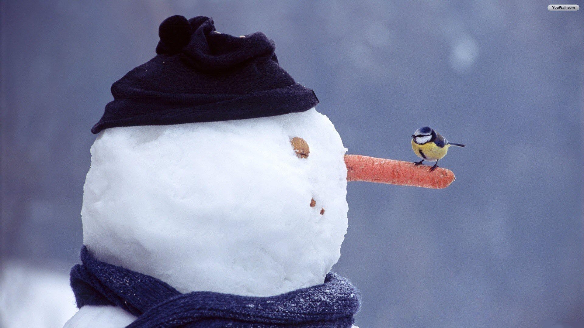 1920x1080 Free Desktop Wallpaper Snowman, Desktop