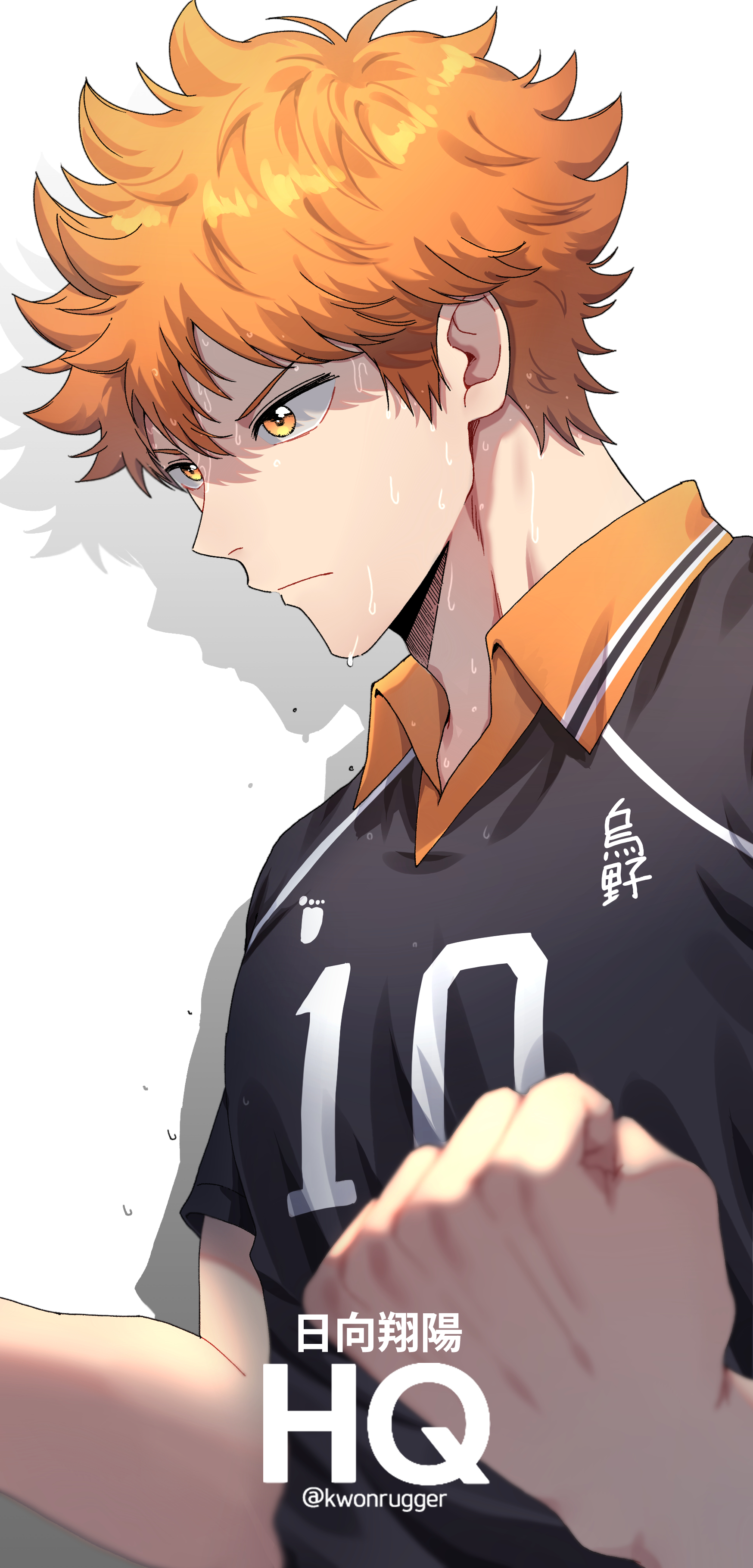 1750x3640 ✨Hinata✨, Phone