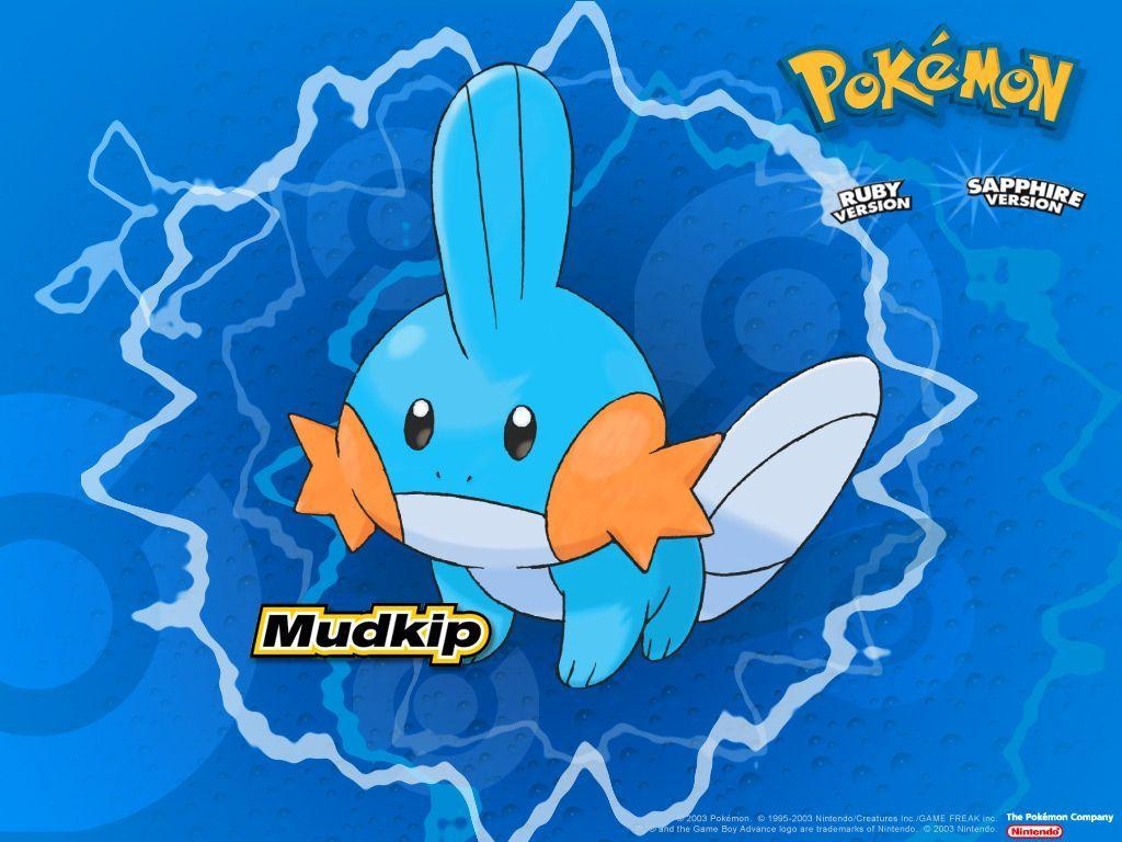 1030x770 Mudkip (Pokémon) HD Wallpaper, Desktop