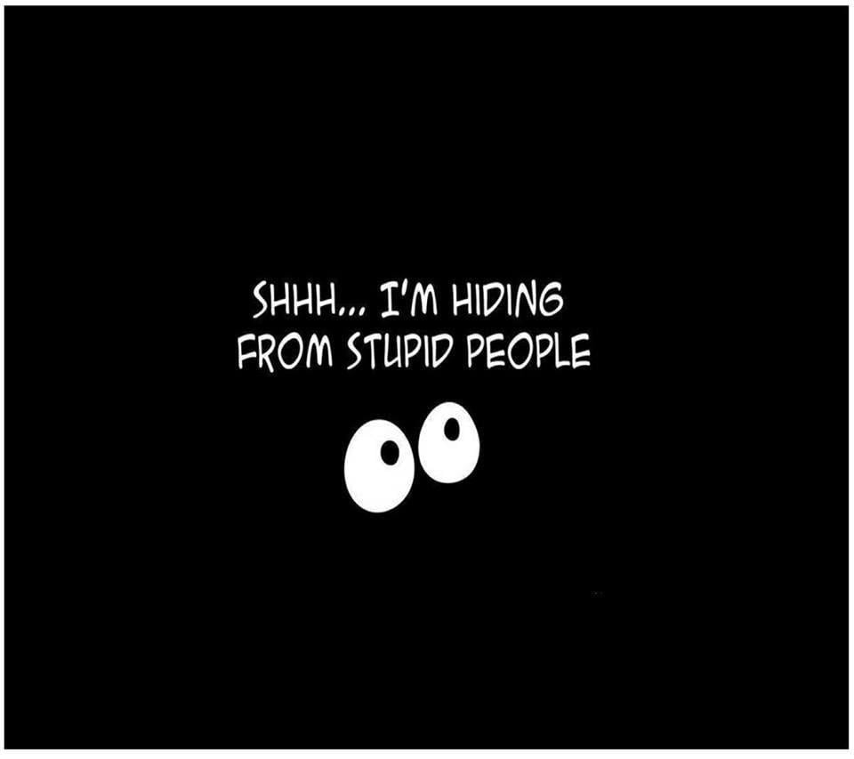 960x860 Shhh, I'm hiding from stupid people. Friendship quotes funny, Funny quotes, Funny wallpaper, Desktop