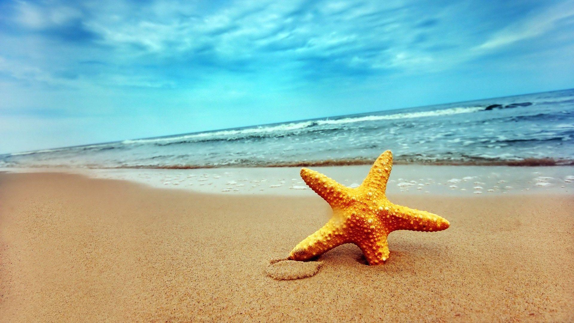 1920x1080 Sweet Beauty Starfish On Beach Photo Wallpaper. AWS HD, Desktop