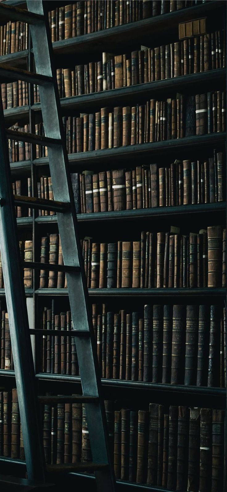 740x1600 library shelf near black wooden ladder #book #dark #books #grey #Dublin #Ireland #iPhone11Wallpap. Library aesthetic, Aesthetic bookshelf, Dark academia wallpaper, Phone