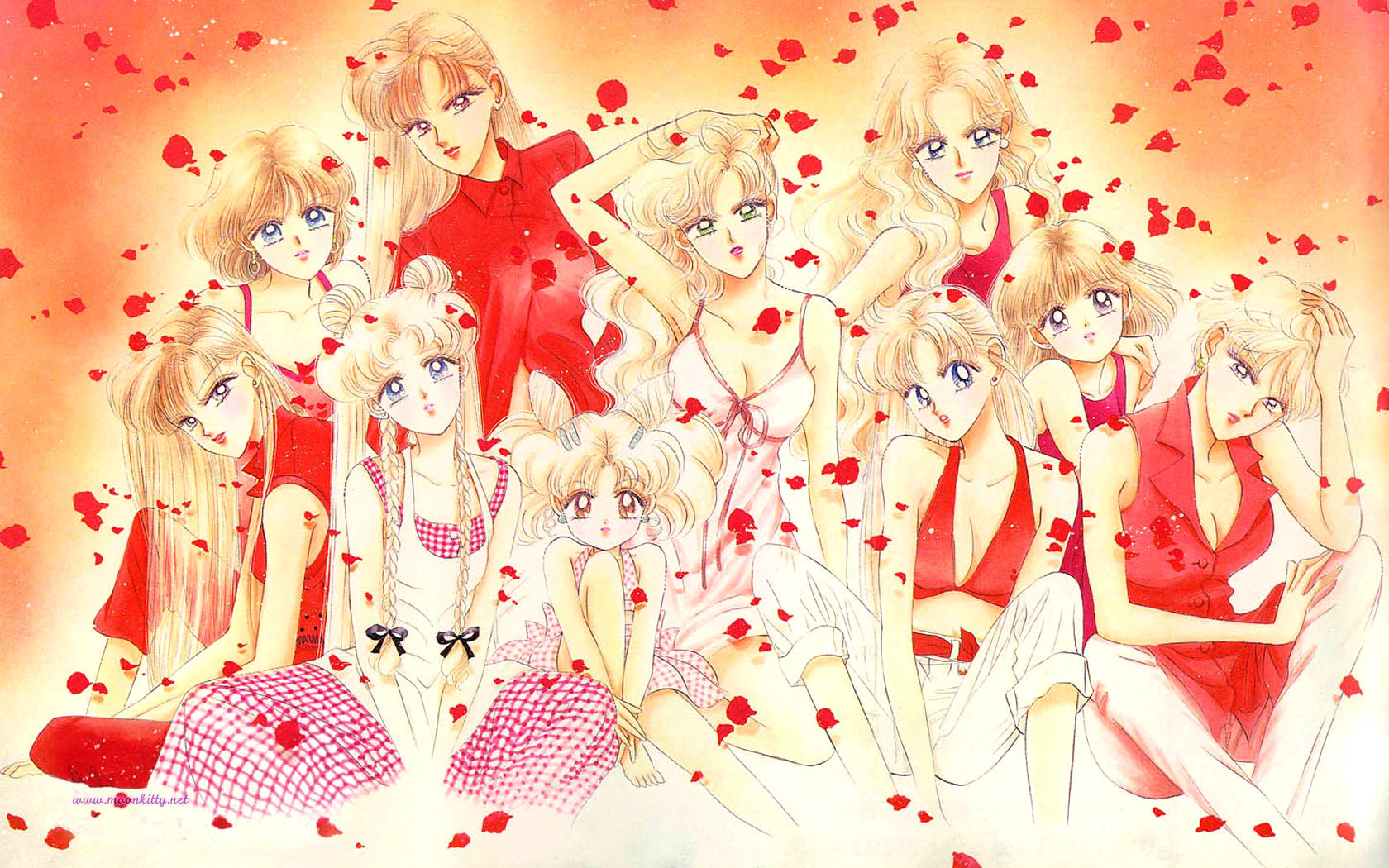 1680x1050 moonkitty.net: Sailor Moon Wallpaper Widescreen, Desktop