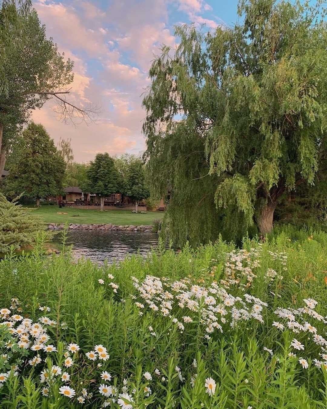 1080x1350 Cottagecore Wallpaper, Phone