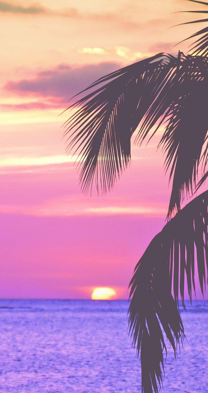 710x1340 Pink Palm trees (summer beach night). Digital Wallpaper in 2019, Phone