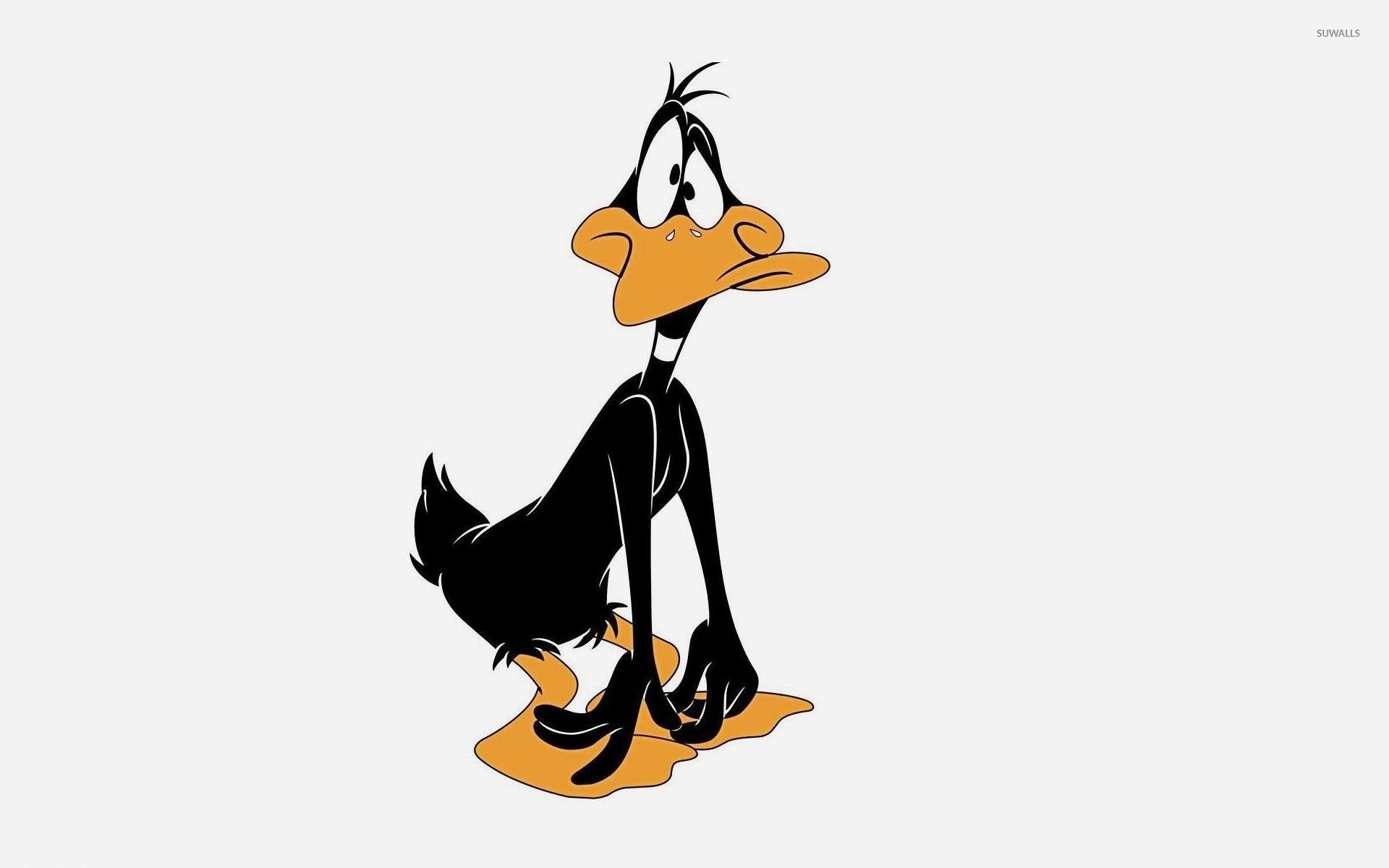 1920x1200 Daffy Duck Wallpaper HD 26173, Desktop