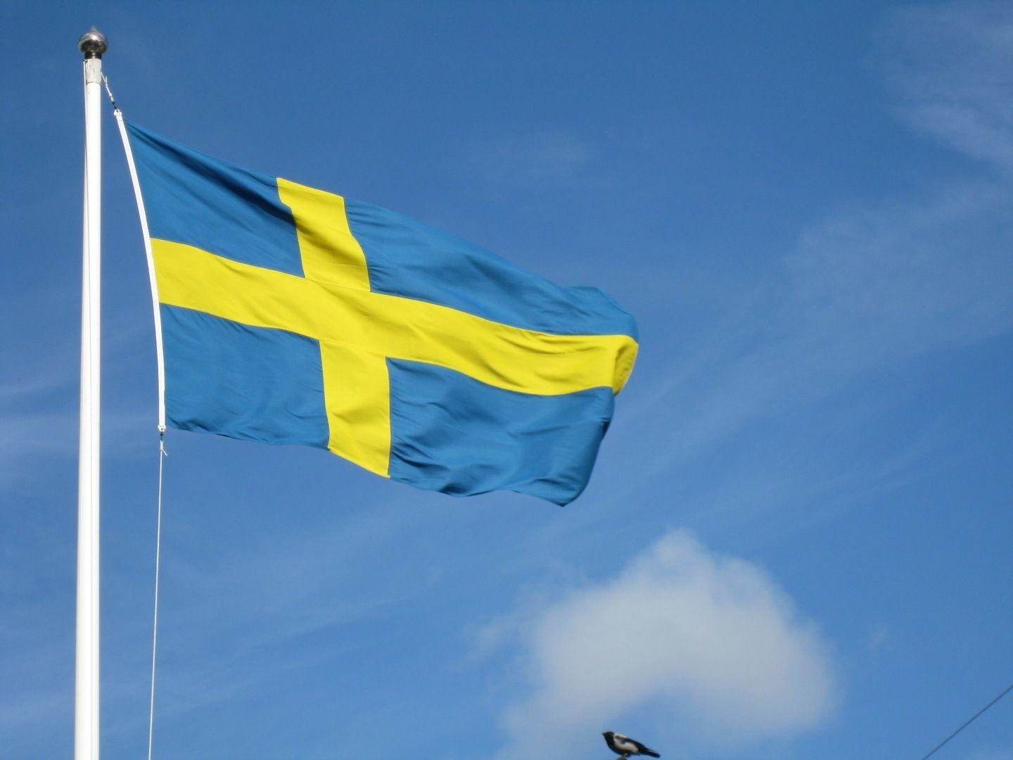 1440x1080 px Swedish Flag Background, Desktop