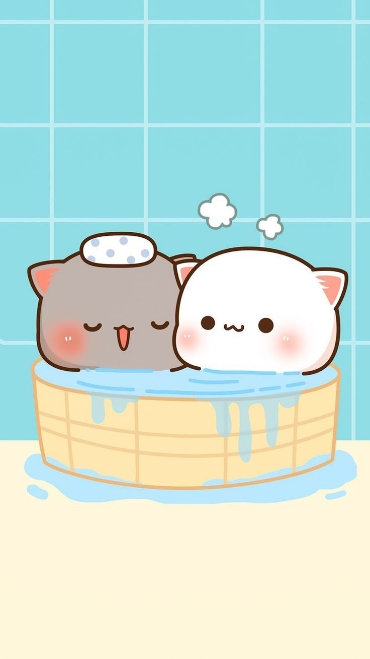 740x1310 Mochi Cat • Instagram photo and videos. Cute anime cat, Cute wallpaper, Cute cartoon wallpaper, Phone