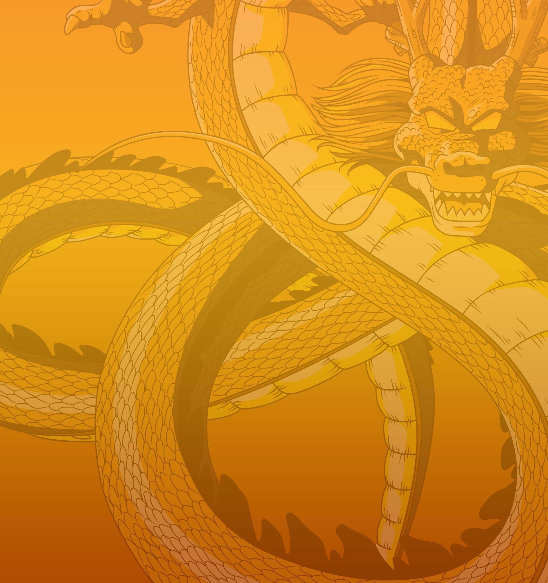 1920x2050 Shenron Ball Z Wallpaper (), Phone