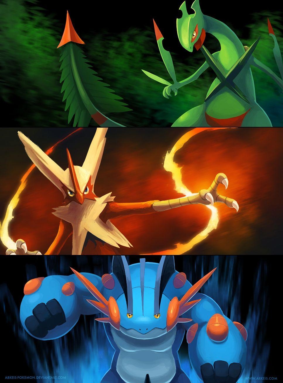 970x1310 Mega Hoenn Starters By Arkeis Pokemon, Phone