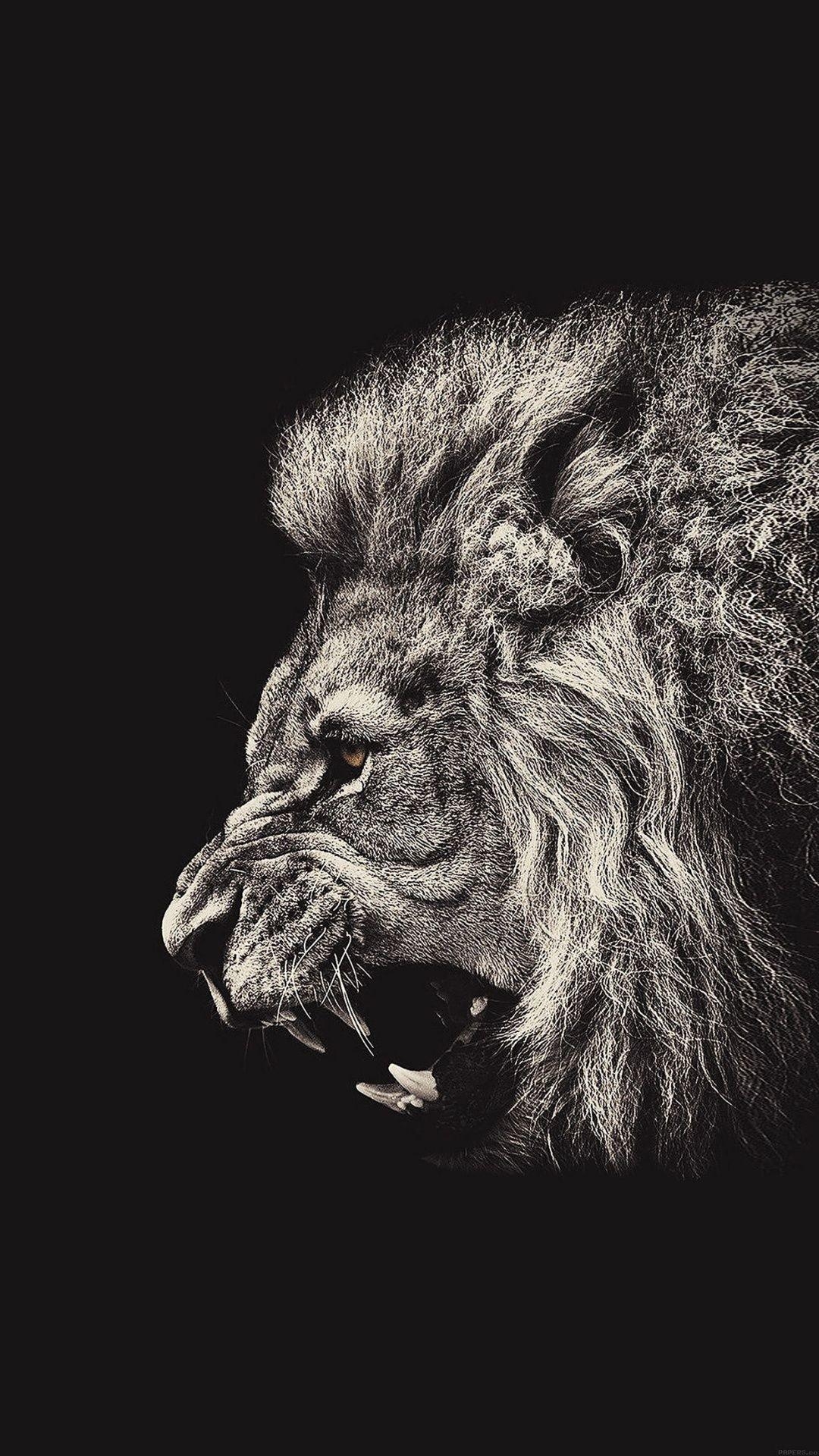 1080x1920 Lion iPhone Wallpaper, Phone