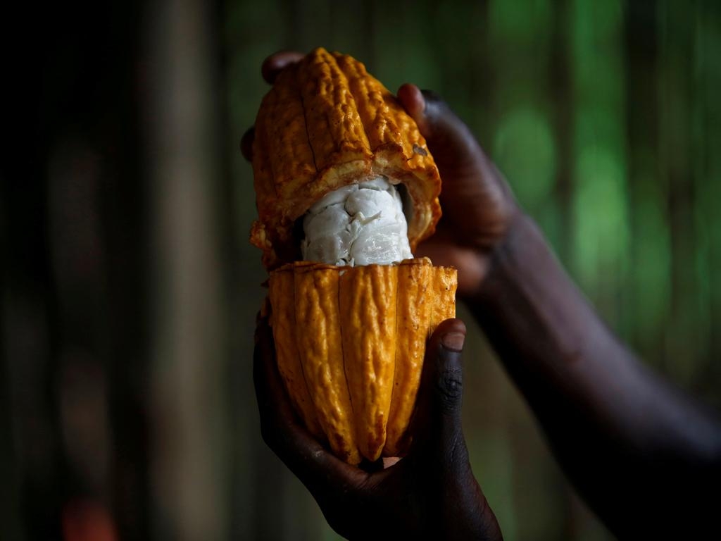 1030x770 Exposure To Debt Stricken Cocoa Exporter Rocks Ivory Coast Banks, Desktop