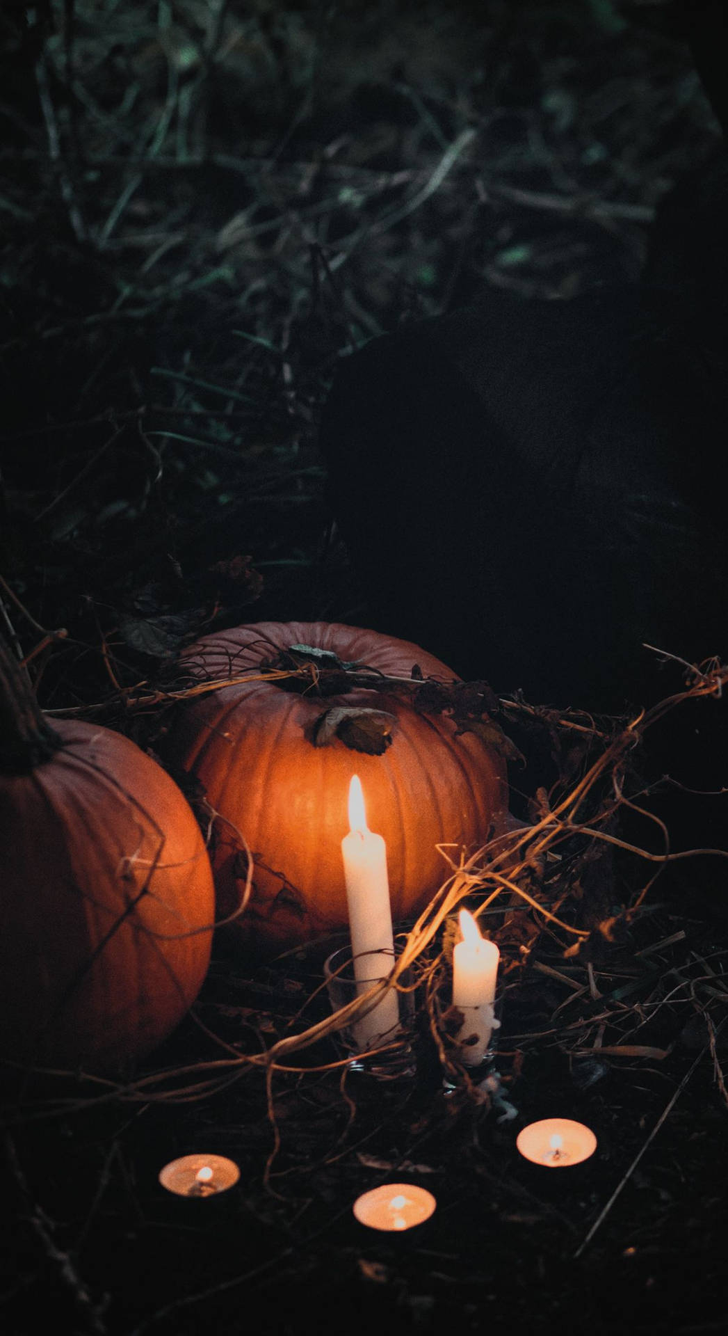 1050x1920 Candle Halloween iPhone Wallpaper, Phone