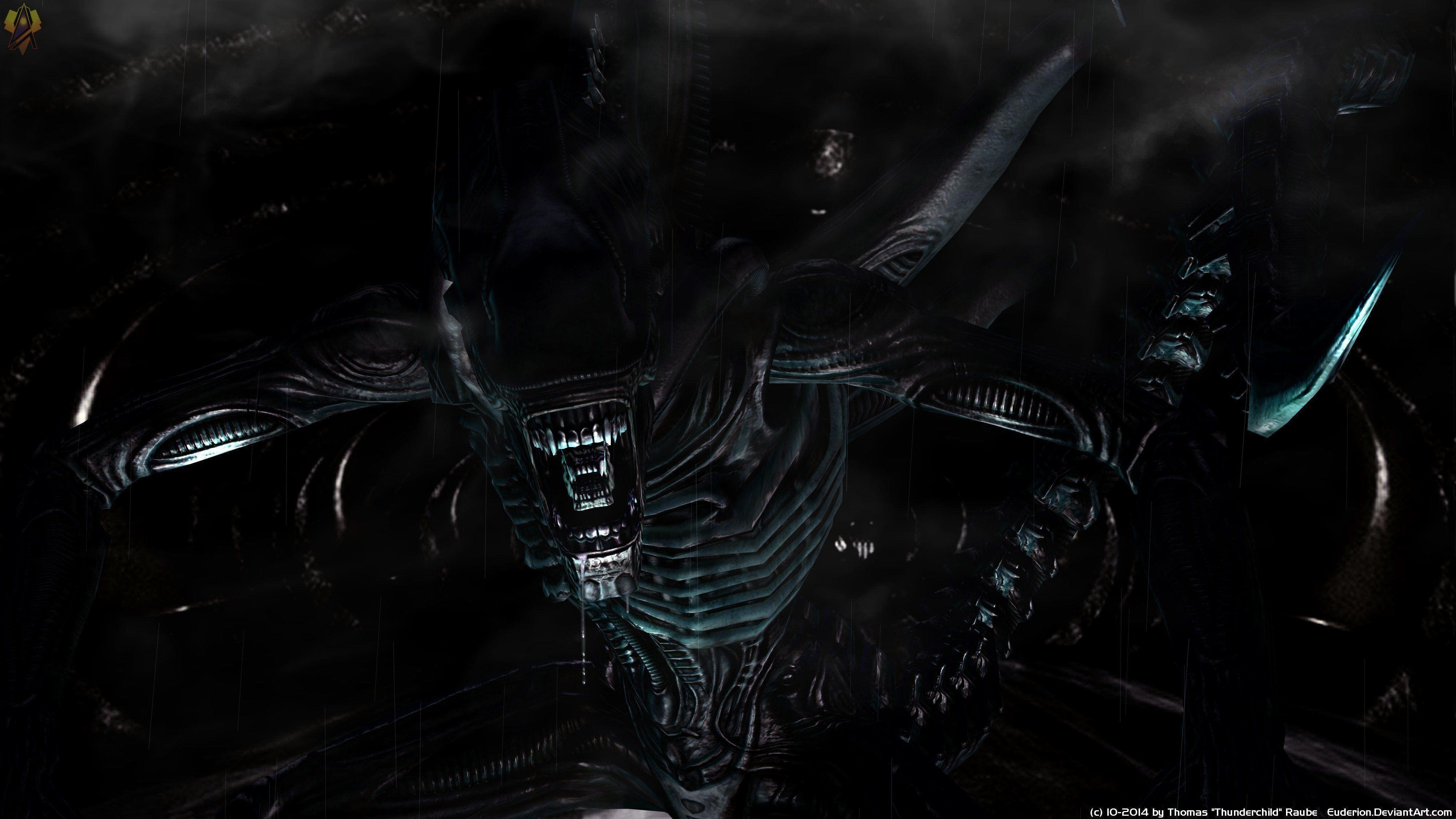 4000x2250 Xenomorph HD Wallpaper, Desktop