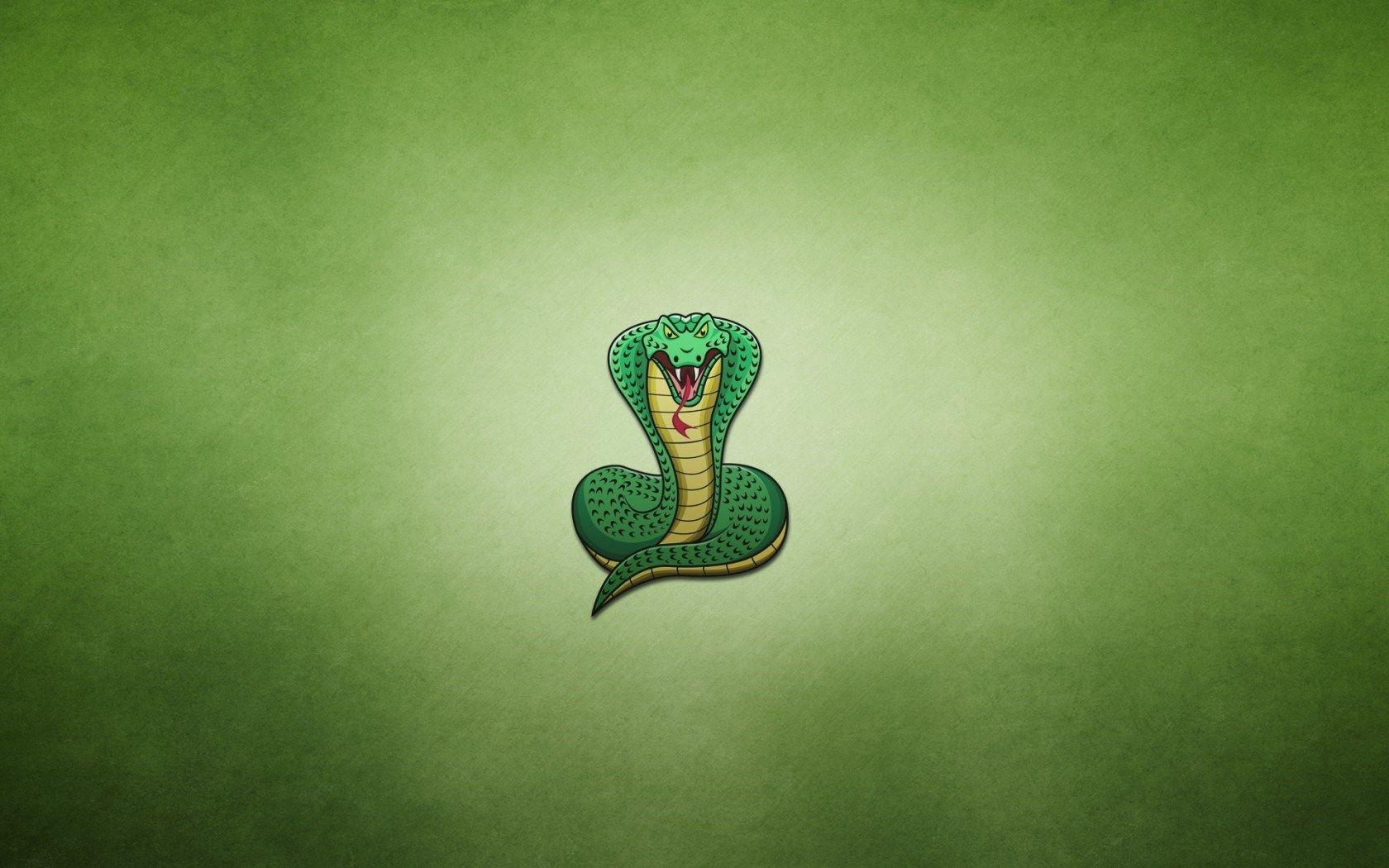 1680x1050 Snake Cobra Green Minimalism, Desktop