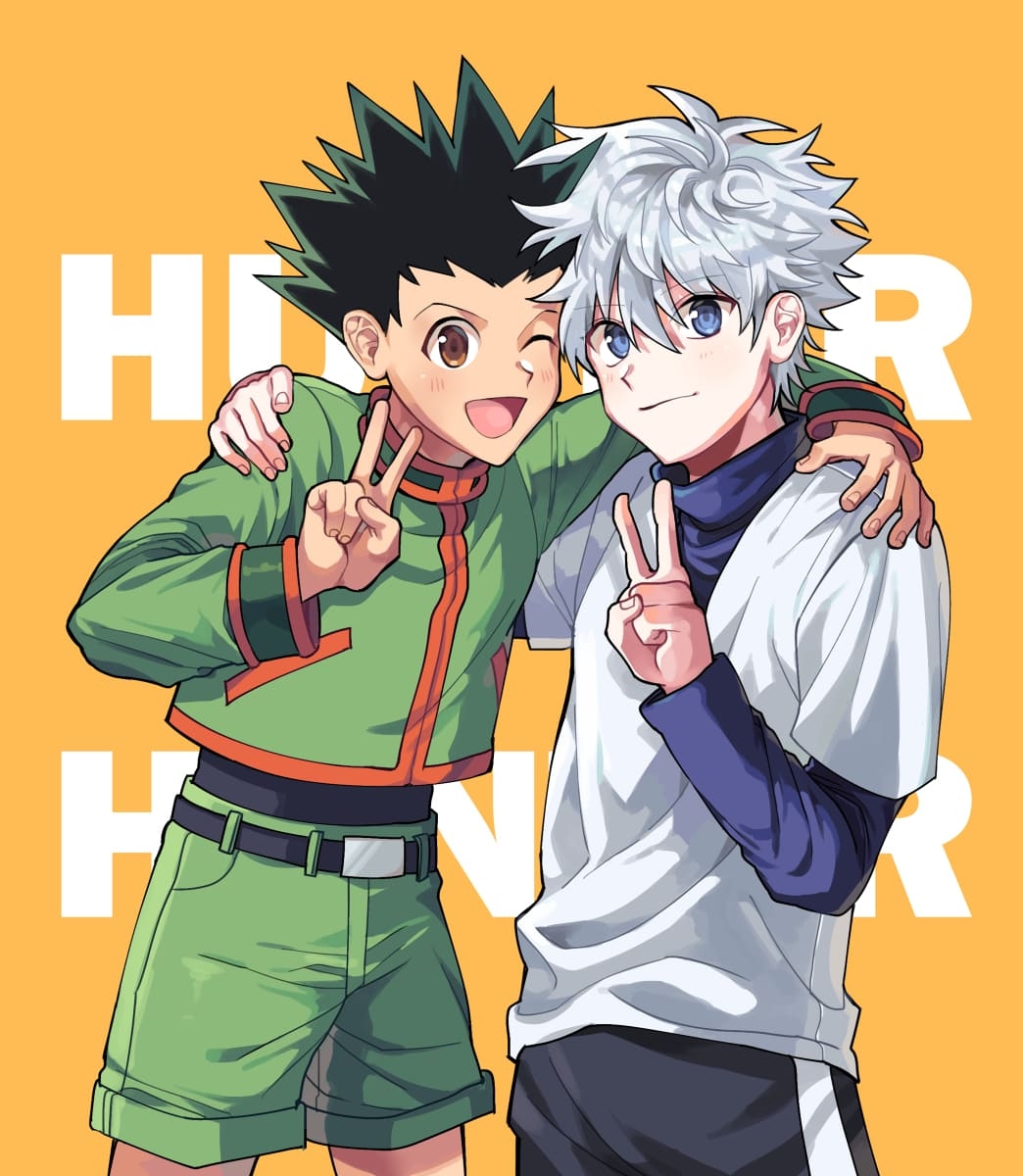 1050x1200 Killua Zoldyck and Gon Freecss Image, Photo, Art, Phone